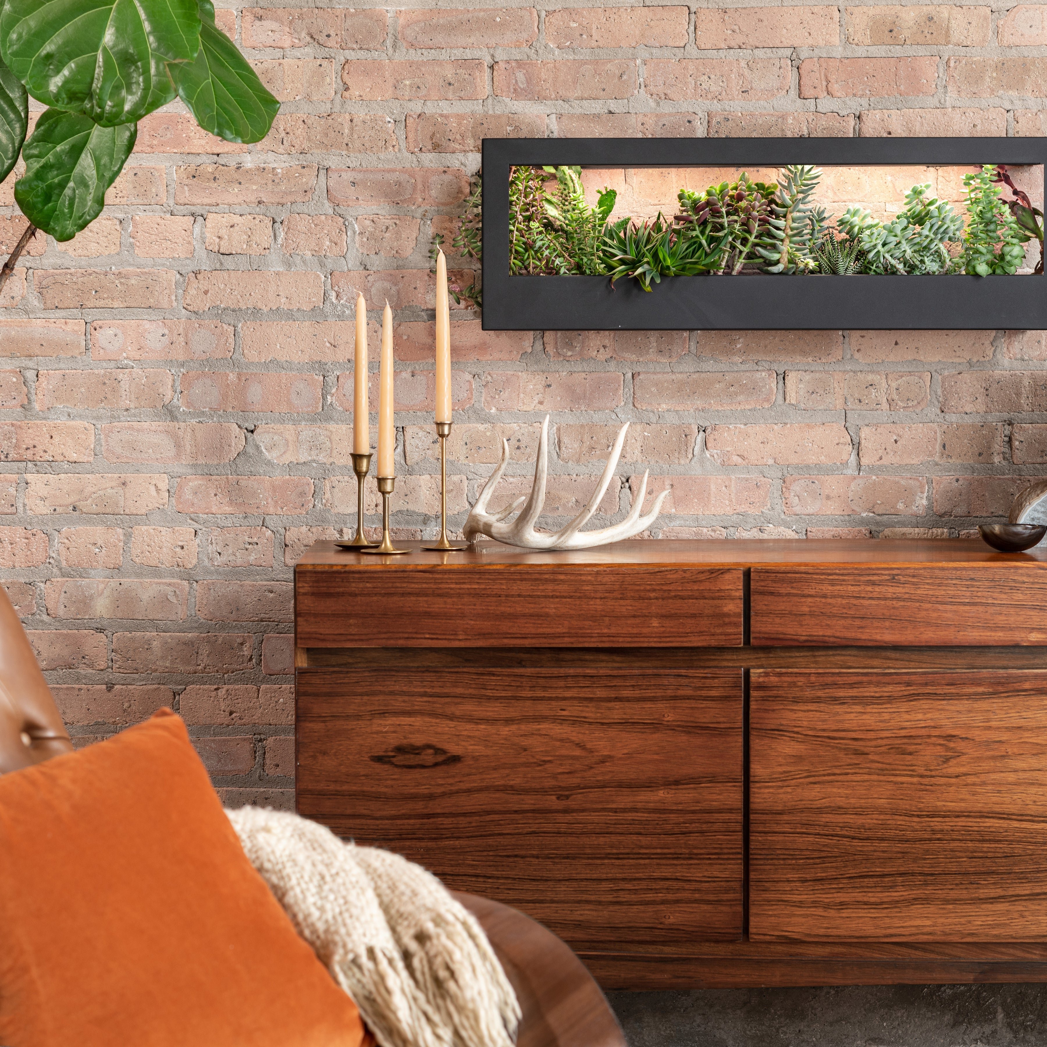 Modern Sprout Smart Landscape Growframe