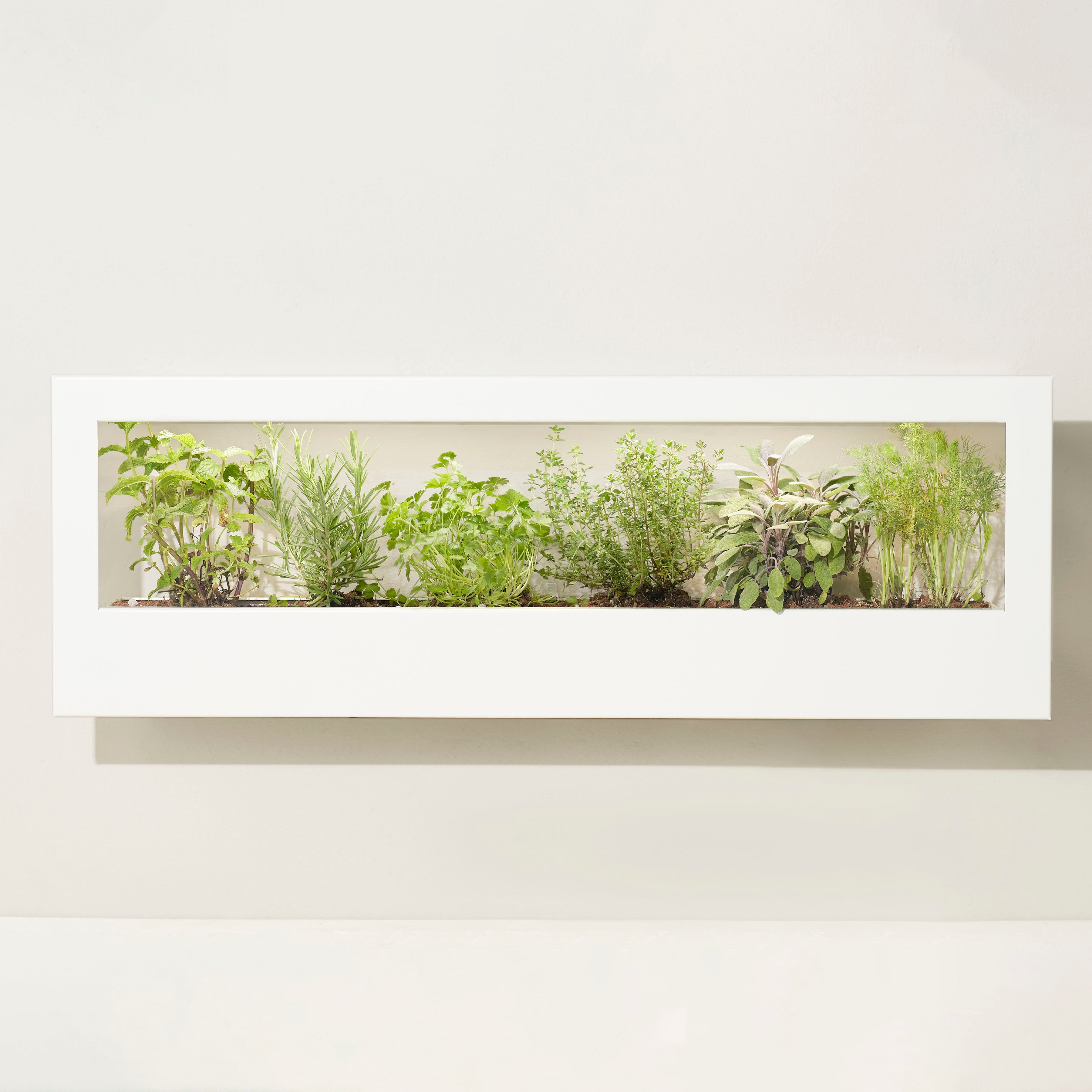 Modern Sprout Smart Landscape Growframe