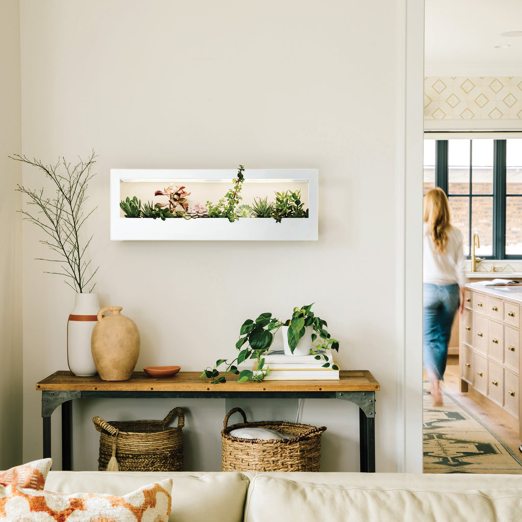 Modern Sprout Smart Landscape Growframe | Heirloom Boulevard