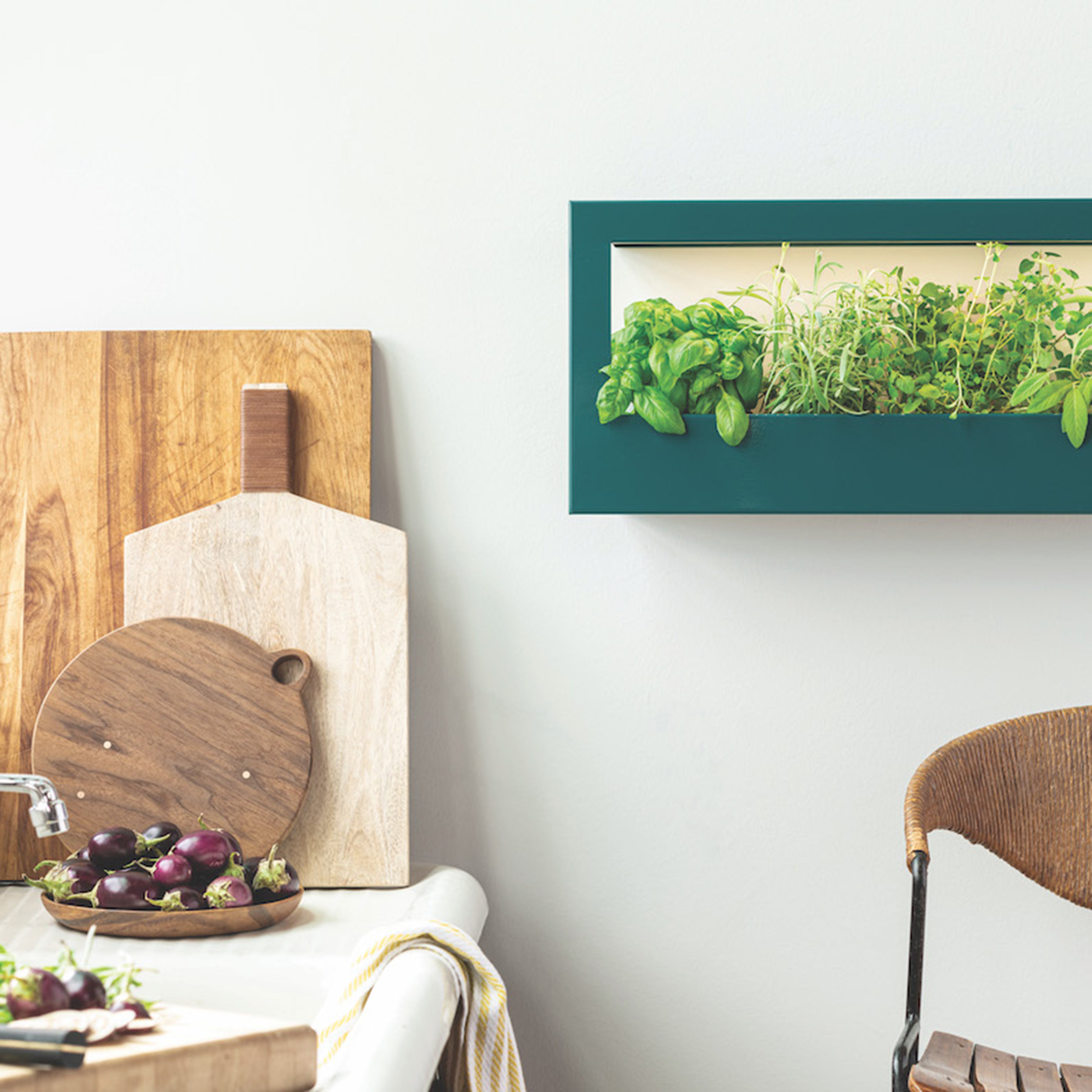 Modern Sprout Smart Landscape Growframe