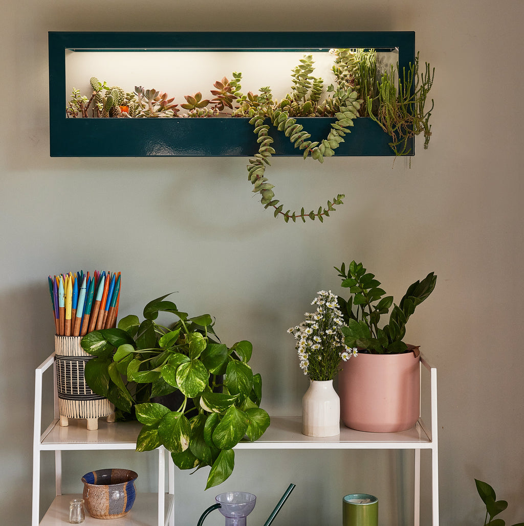 Modern Sprout Smart Landscape Growframe | Heirloom Boulevard