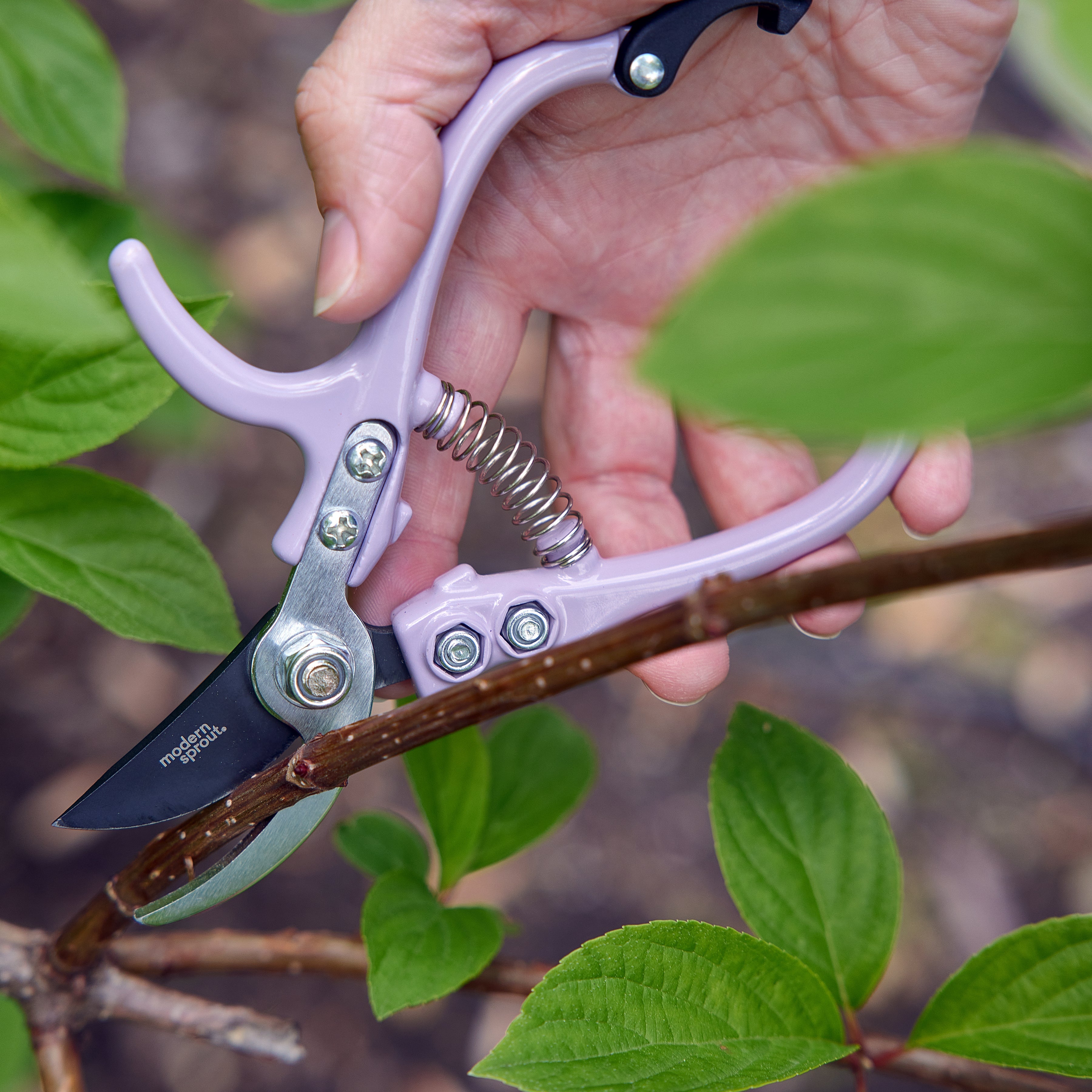 Modern Sprout Gardening Shears & Pruners