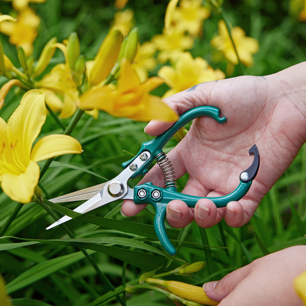 Modern Sprout Gardening Shears & Pruners