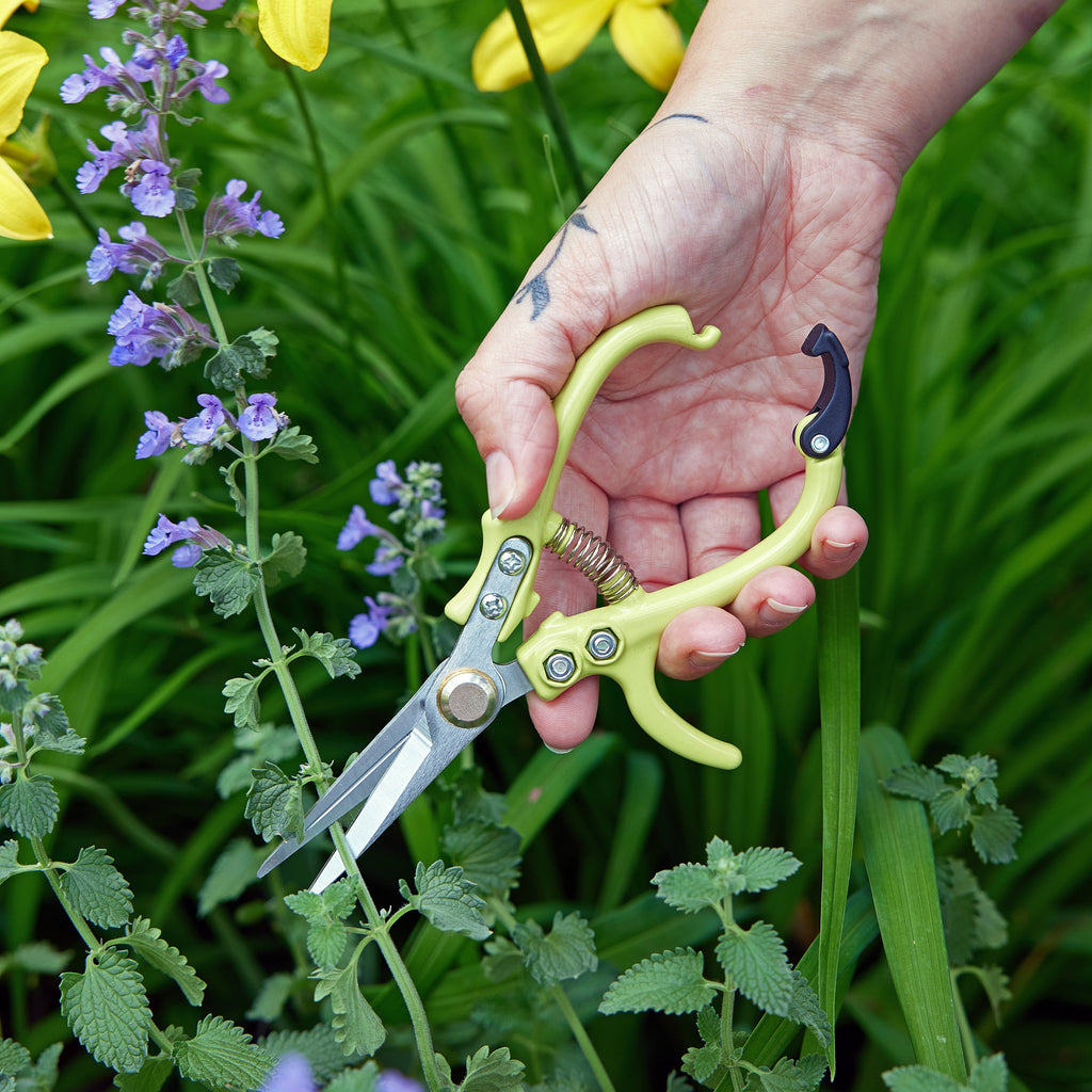 Modern Sprout Gardening Shears & Pruners | Heirloom Boulevard