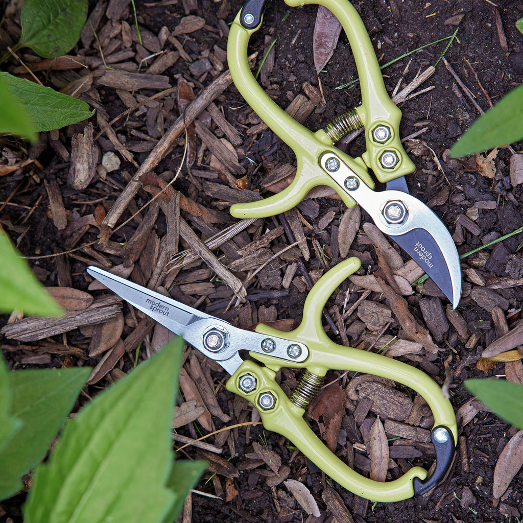 Modern Sprout Gardening Shears & Pruners