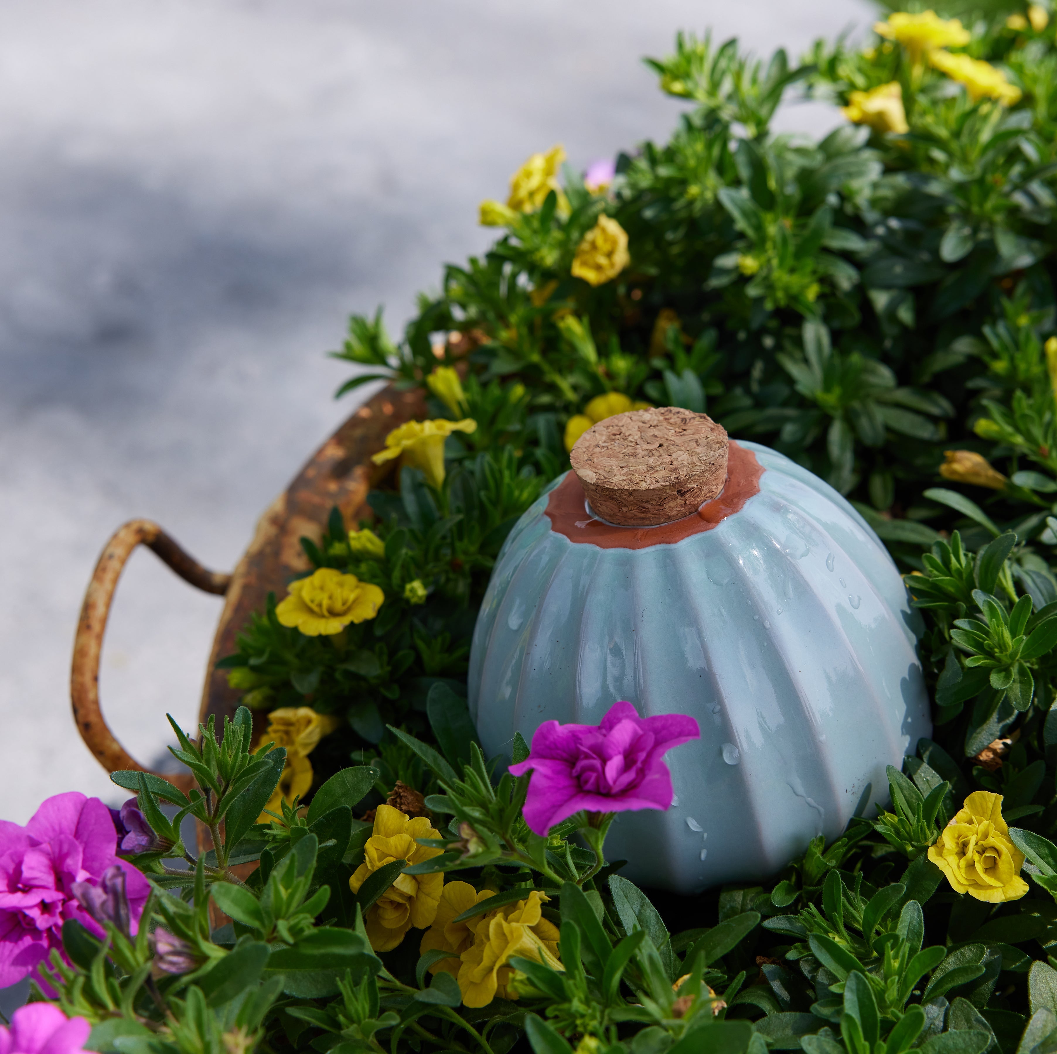 Modern Sprout Terracotta Watering Bulbs | Heirloom Boulevard