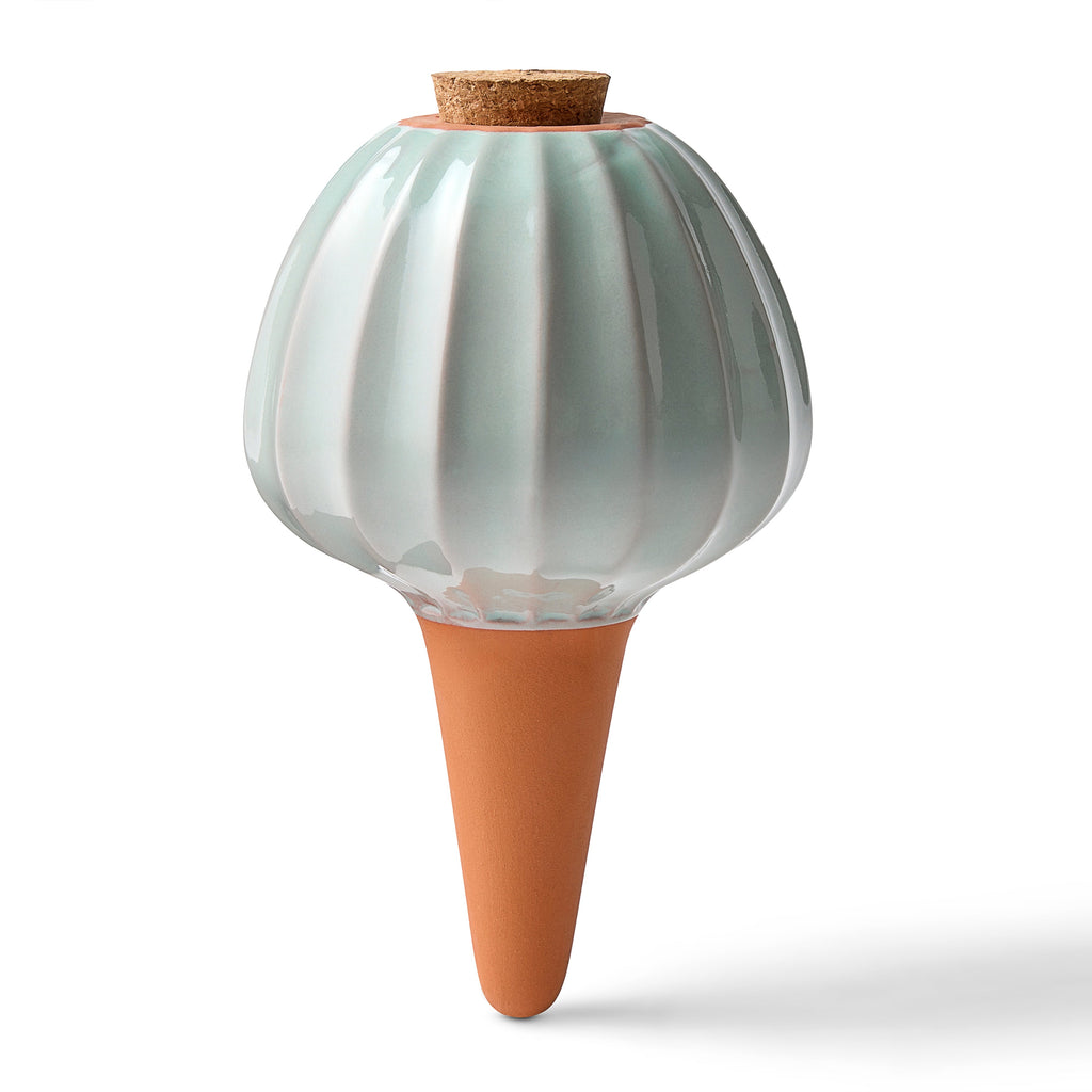 Modern Sprout Terracotta Watering Bulbs Sage 1pk | Heirloom Boulevard