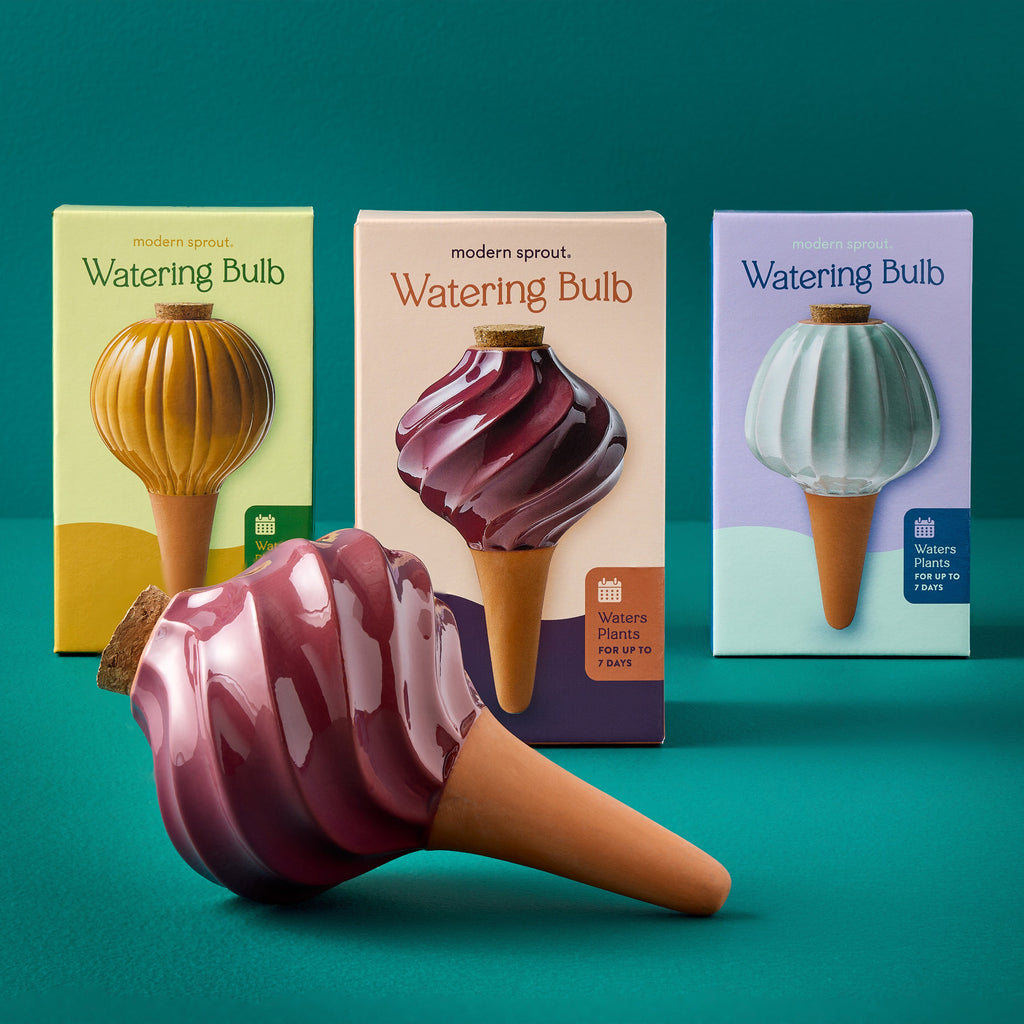 Modern Sprout Terracotta Watering Bulbs | Heirloom Boulevard