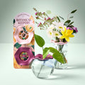 Modern Sprout Botanical Keepers | Heirloom Boulevard