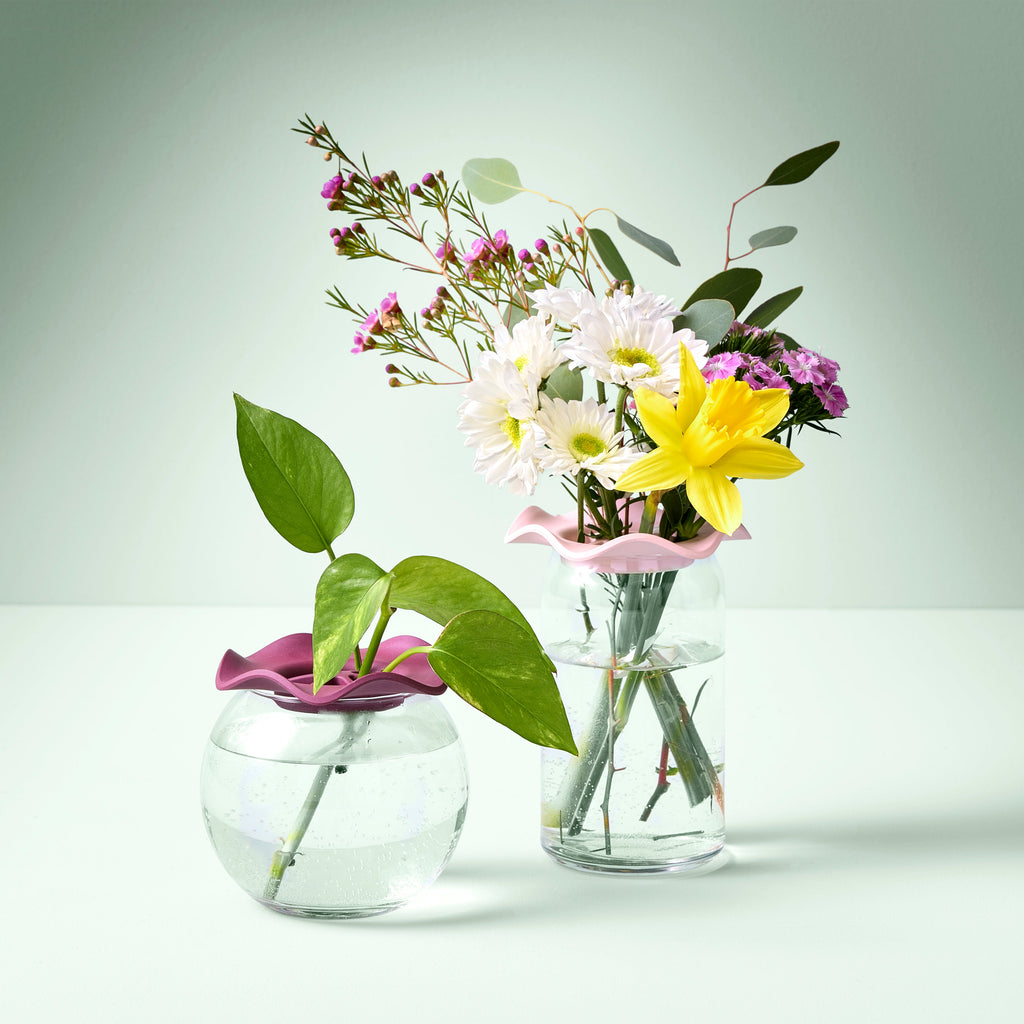 Modern Sprout Botanical Keepers