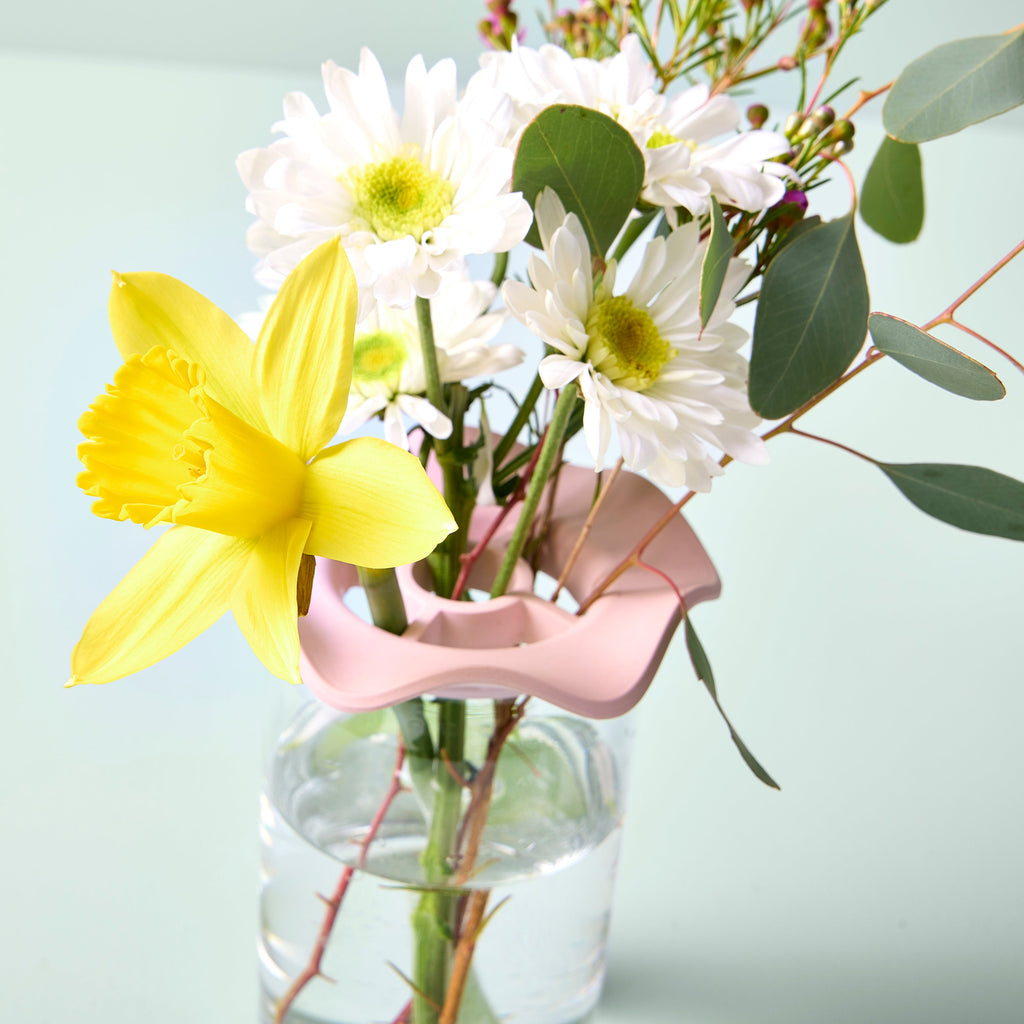 Modern Sprout Botanical Keepers
