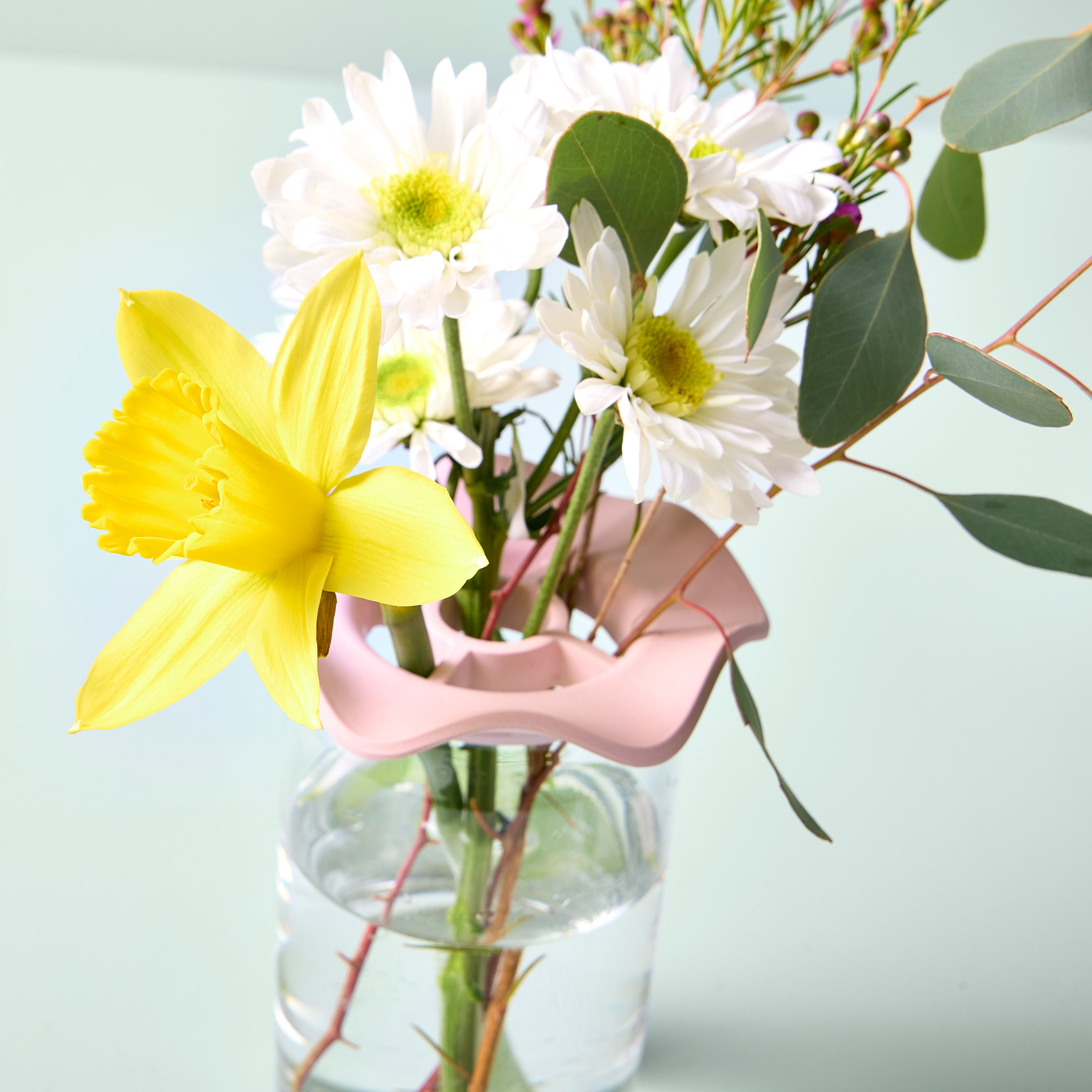 Modern Sprout Botanical Keepers