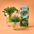 Modern Sprout Produce Keepers, 2pk | Heirloom Boulevard