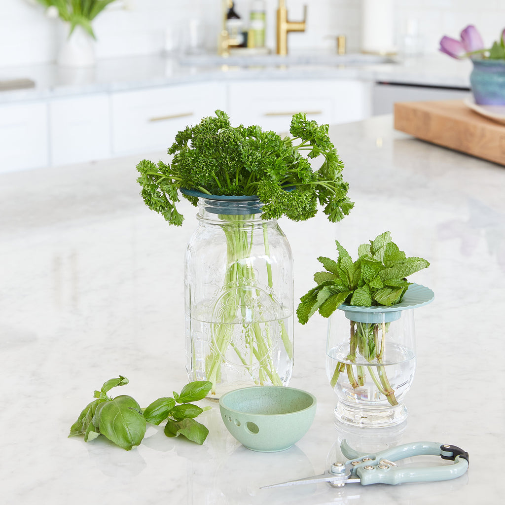 Modern Sprout Produce Keepers, 2pk