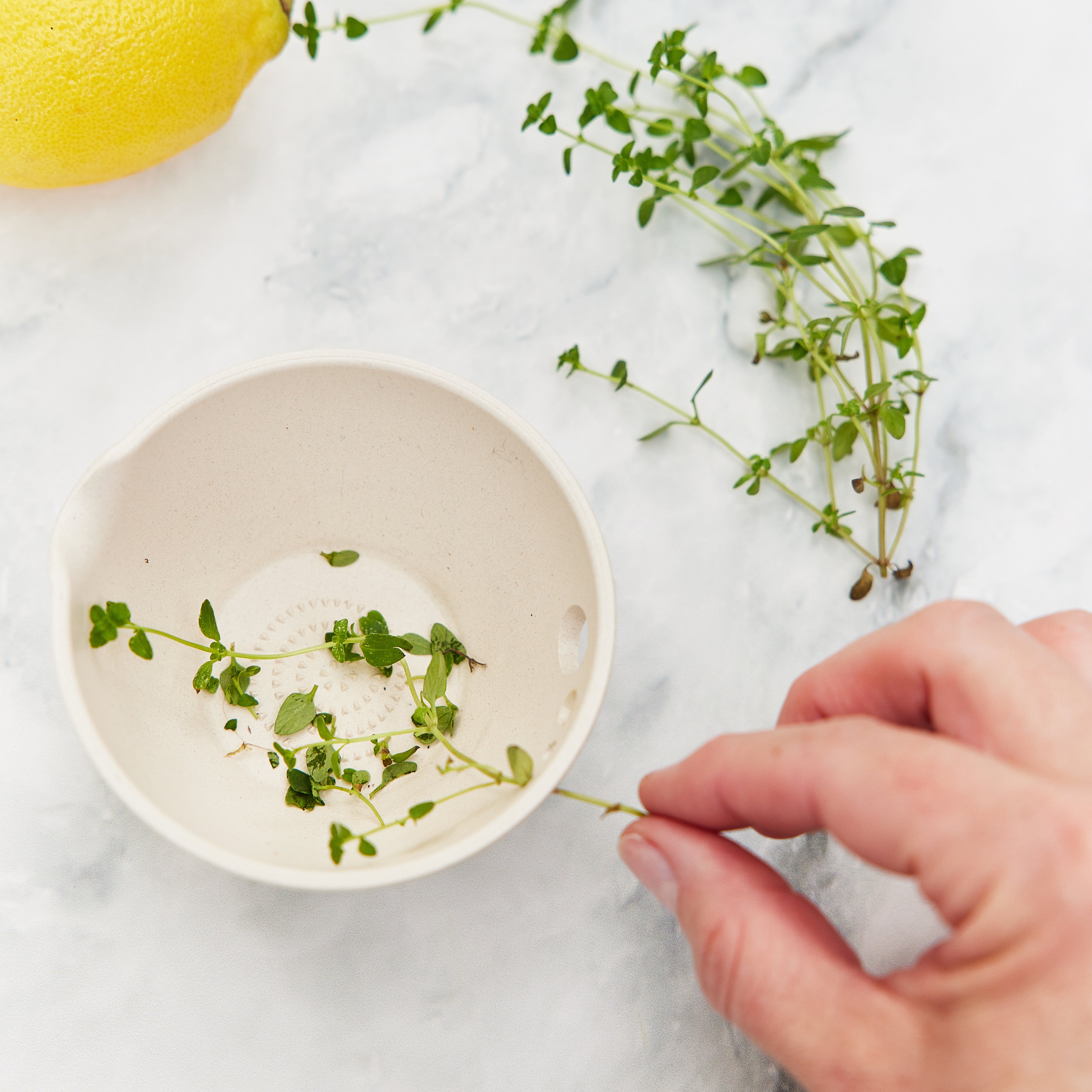 Modern Sprout Peel, Grate & Prep Dish