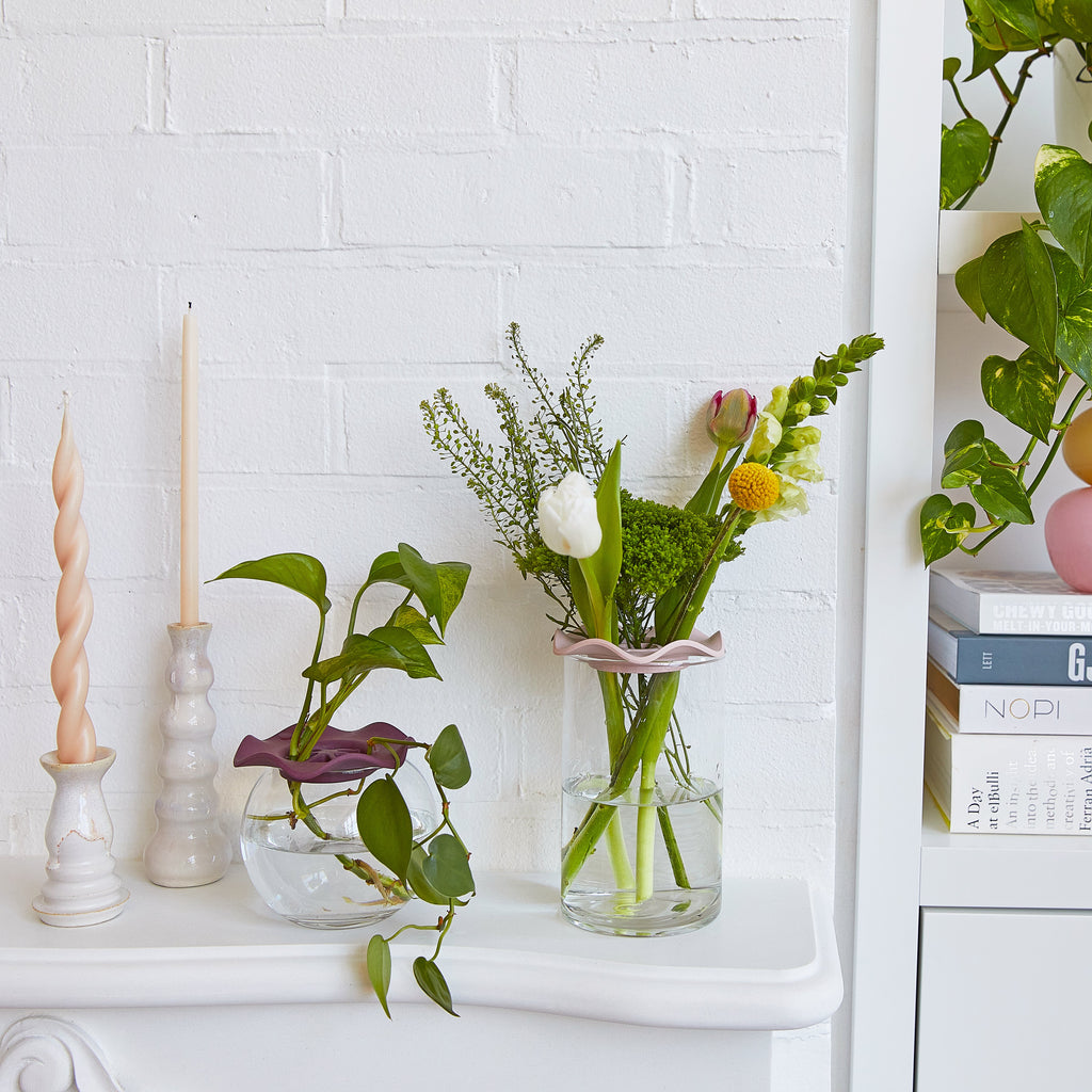Modern Sprout Botanical Keepers