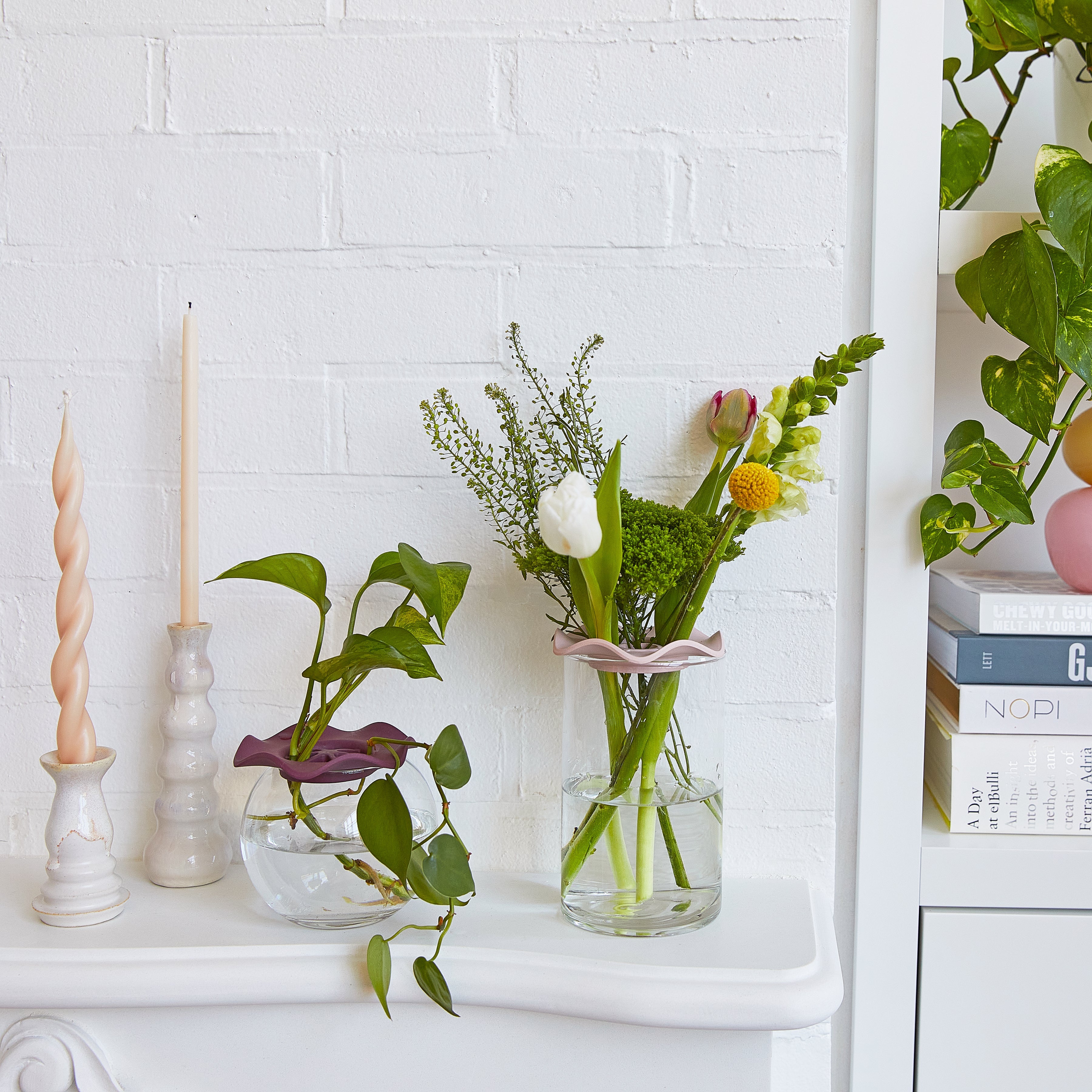 Modern Sprout Botanical Keepers