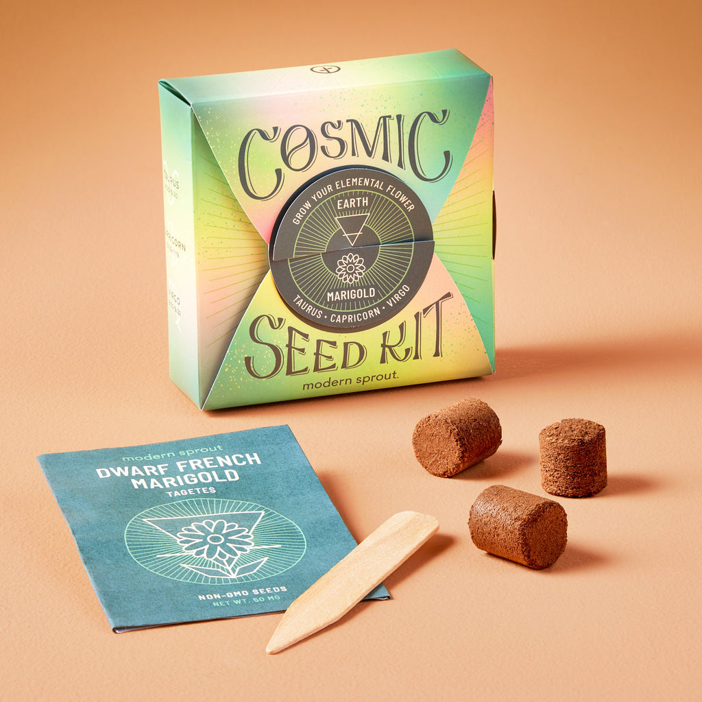 Modern Sprout Cosmic Seed Kits
