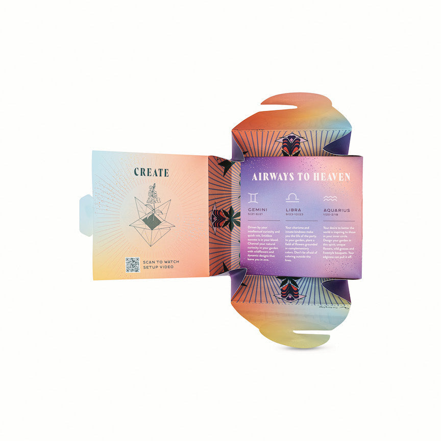 Modern Sprout Cosmic Seed Kits