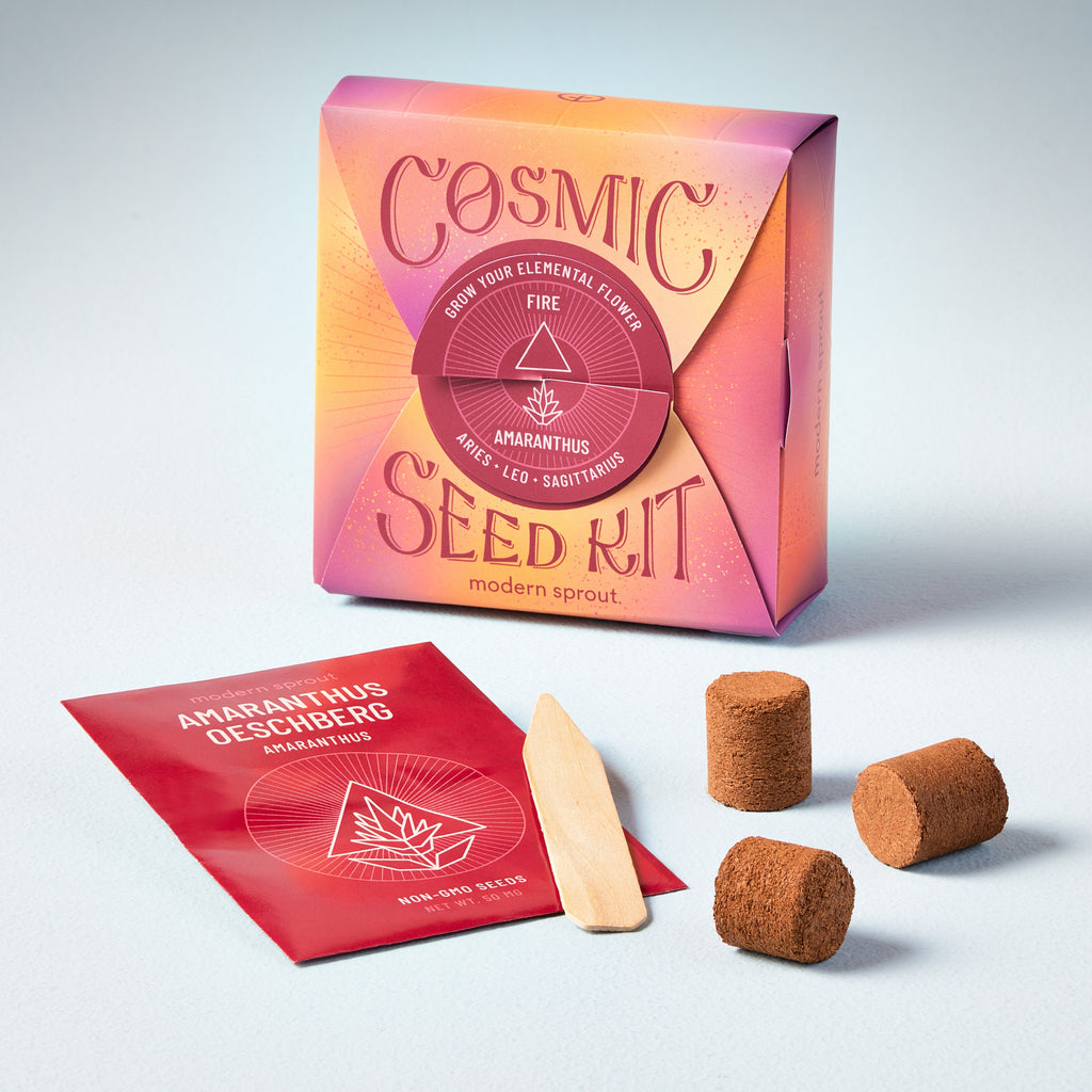 Modern Sprout Cosmic Seed Kits