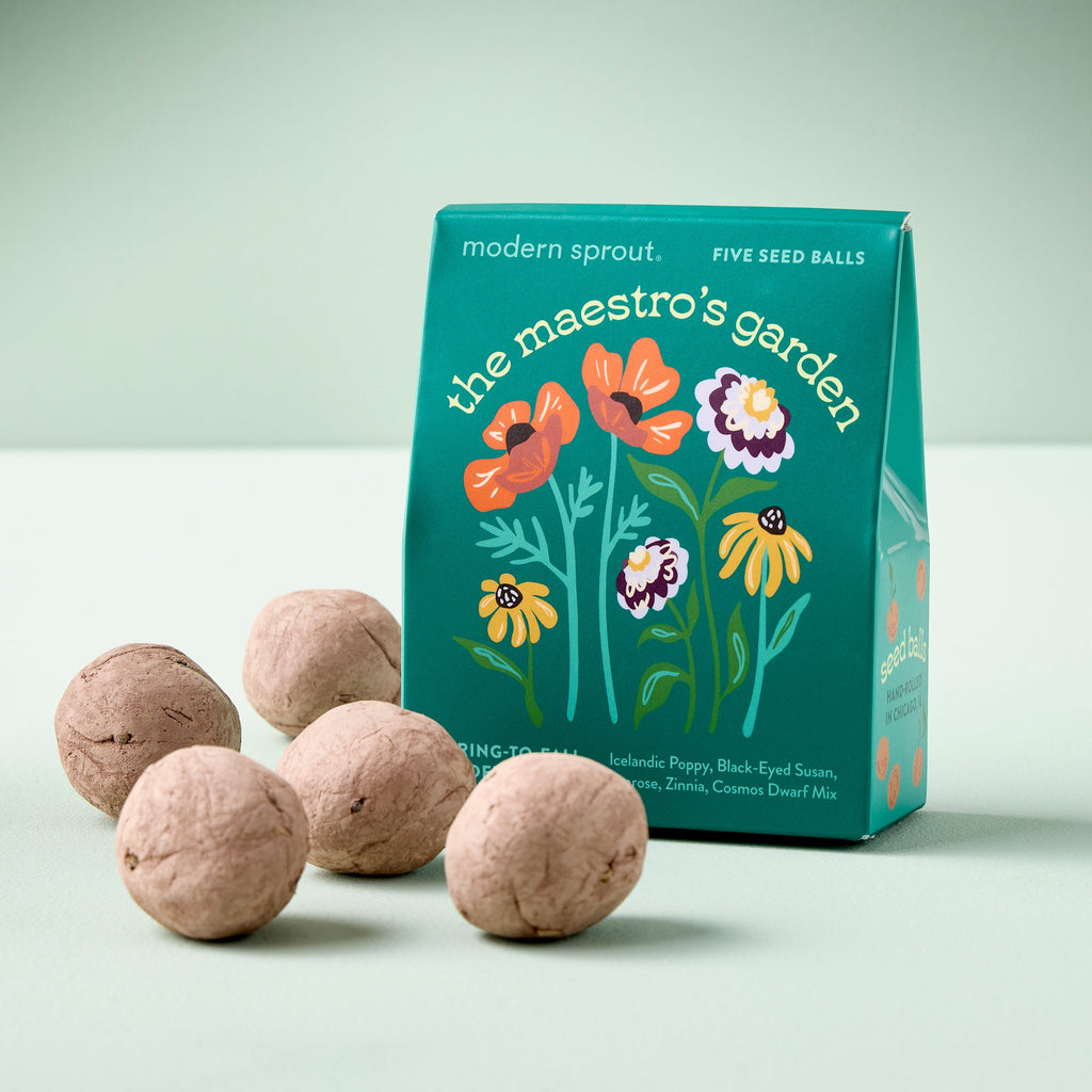 Modern Sprout Bespoke Blooms Seed Balls | Heirloom Boulevard