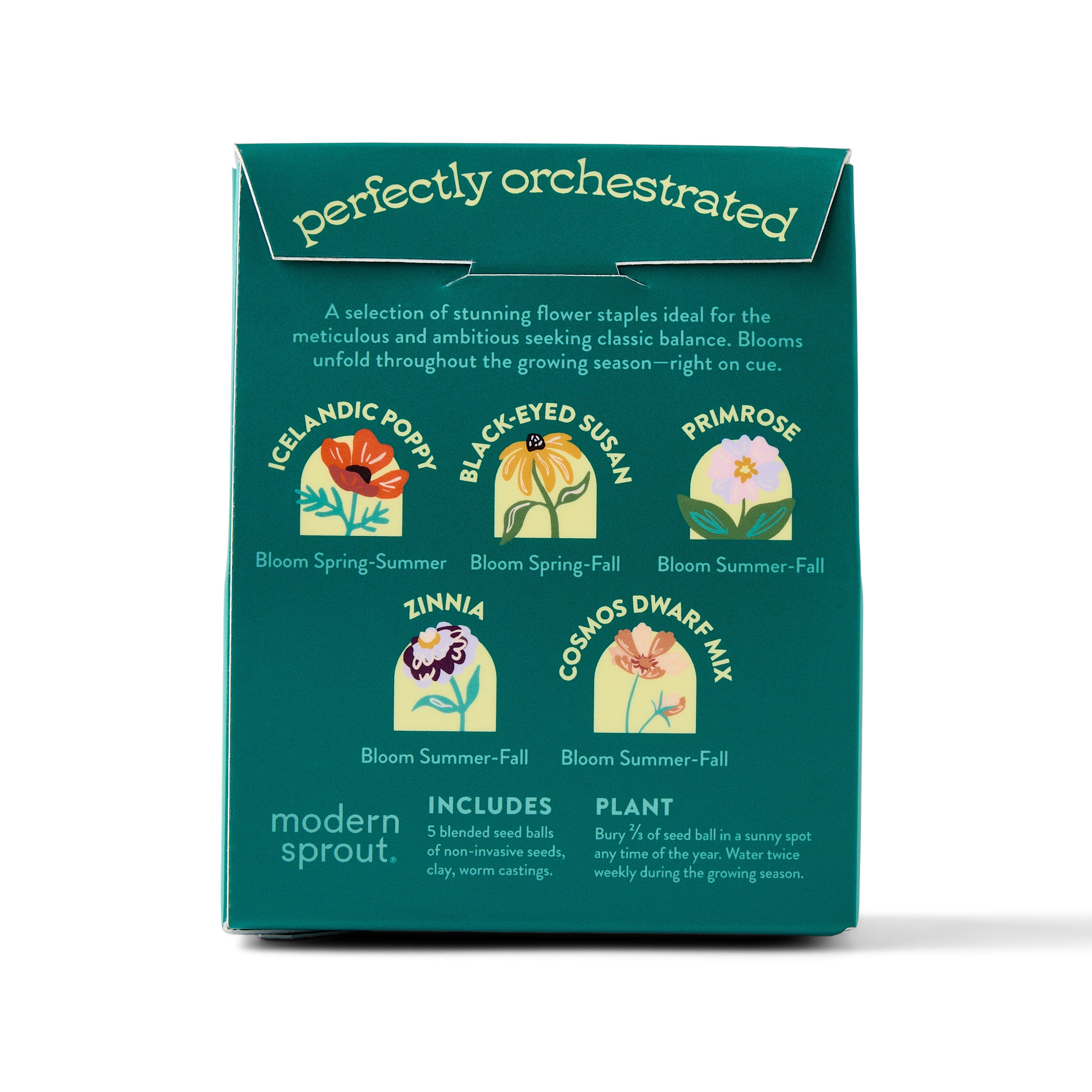 Modern Sprout Bespoke Blooms Seed Balls | Heirloom Boulevard