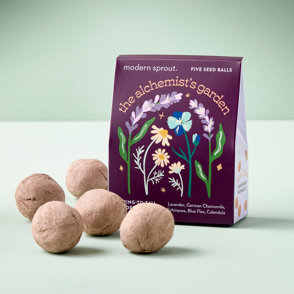 Modern Sprout Bespoke Blooms Seed Balls | Heirloom Boulevard