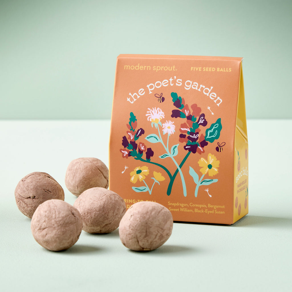 Modern Sprout Bespoke Blooms Seed Balls | Heirloom Boulevard