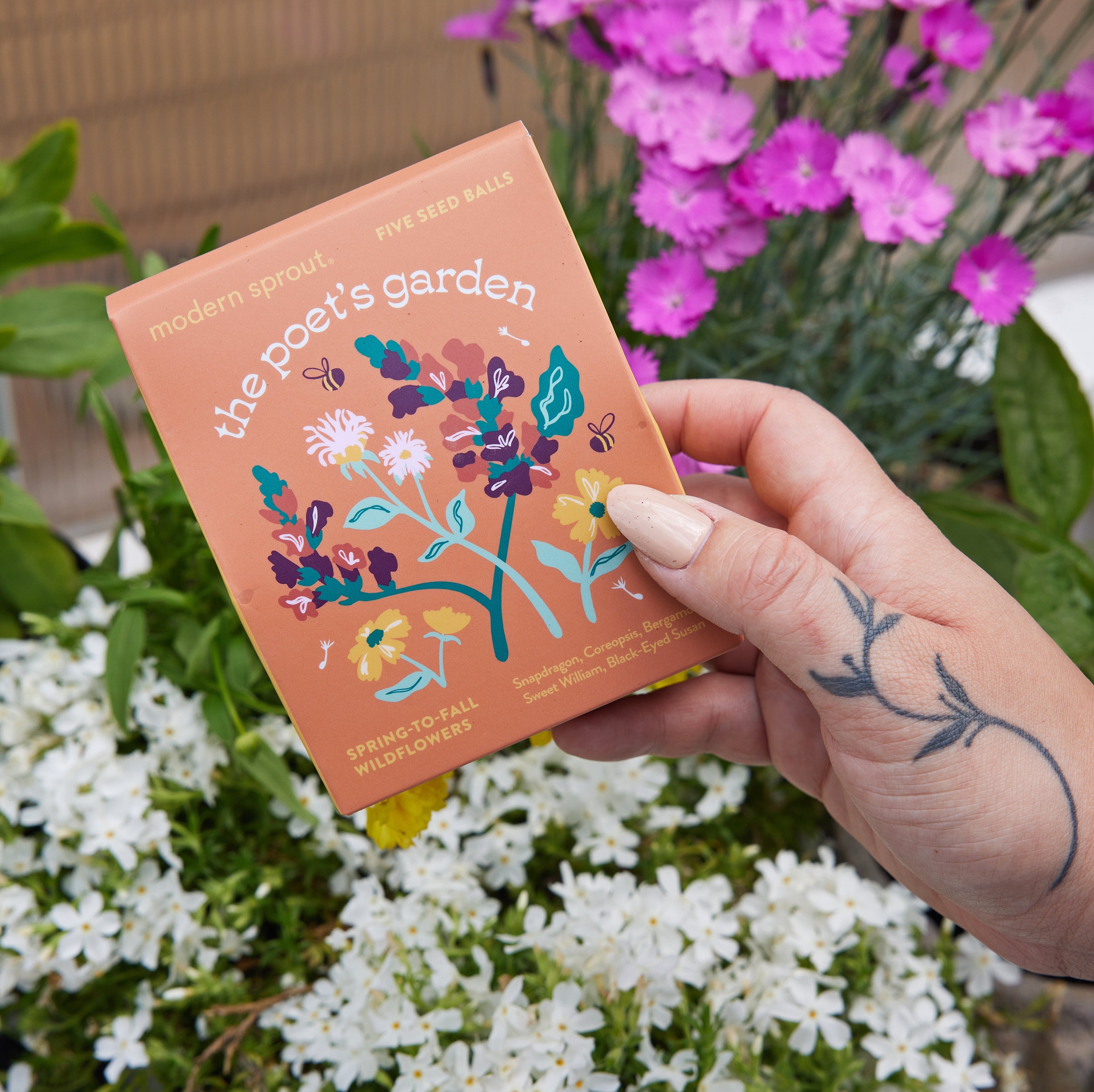 Modern Sprout Bespoke Blooms Seed Balls | Heirloom Boulevard