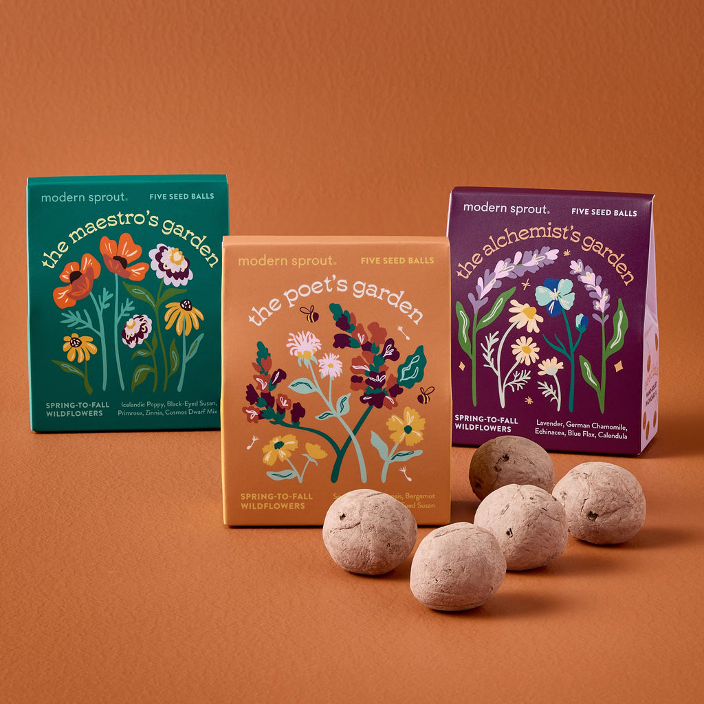 Modern Sprout Bespoke Blooms Seed Balls Mixed 3pk | Heirloom Boulevard