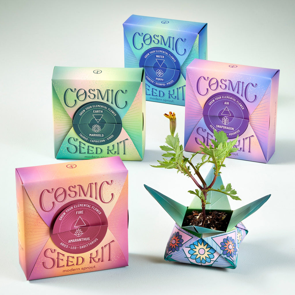 Modern Sprout Cosmic Seed Kits