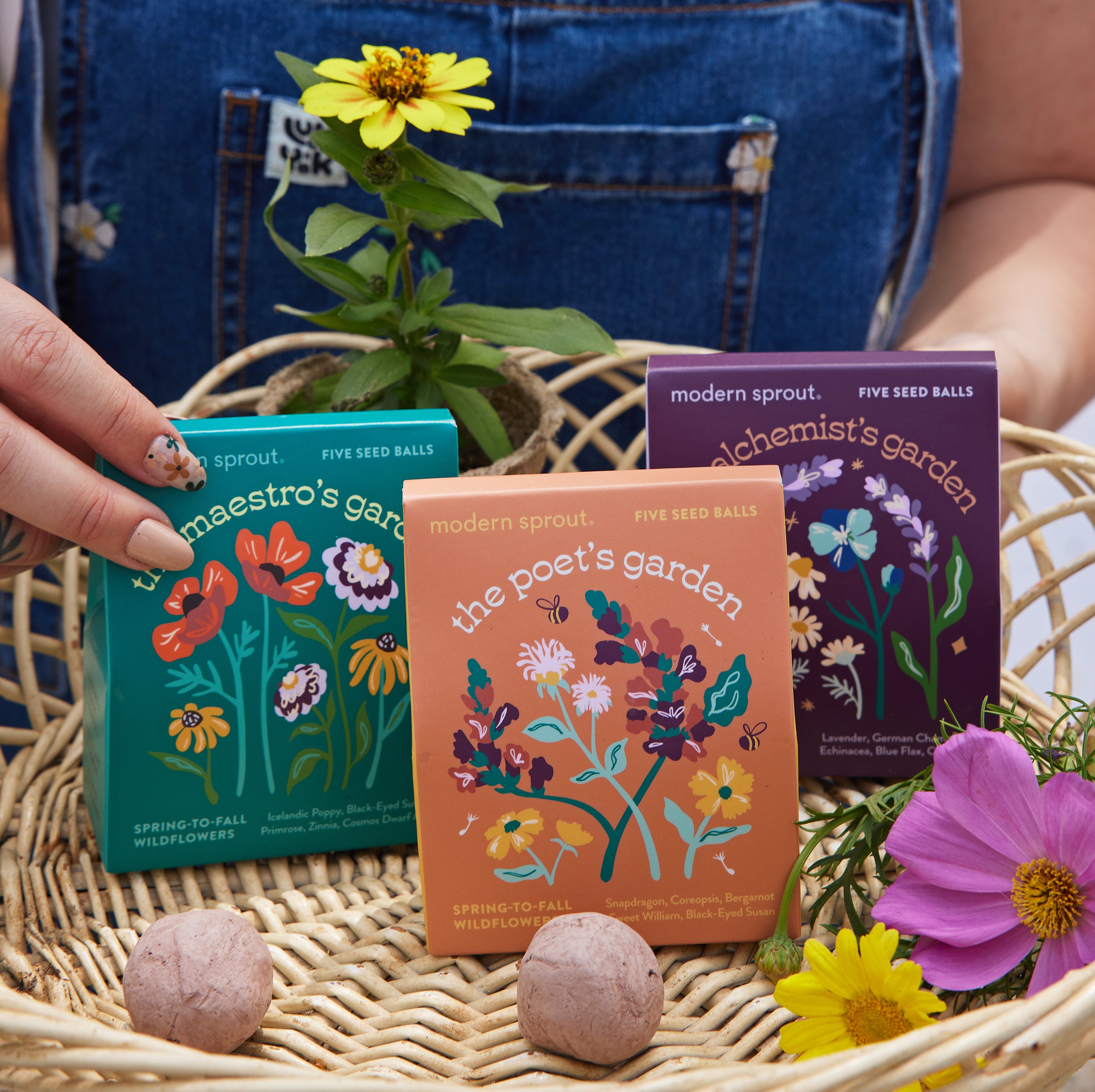 Modern Sprout Bespoke Blooms Seed Balls | Heirloom Boulevard