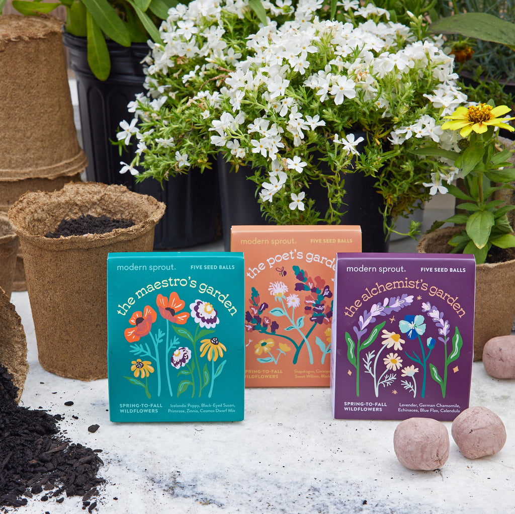 Modern Sprout Bespoke Blooms Seed Balls | Heirloom Boulevard