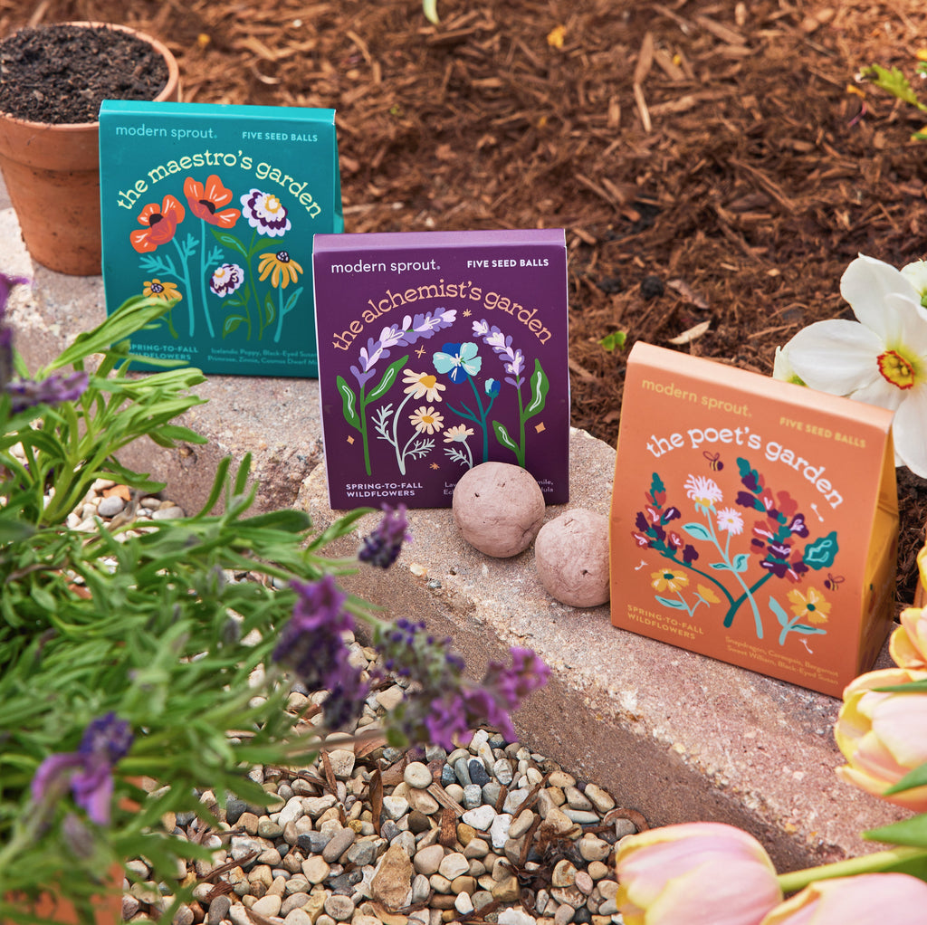 Modern Sprout Bespoke Blooms Seed Balls | Heirloom Boulevard