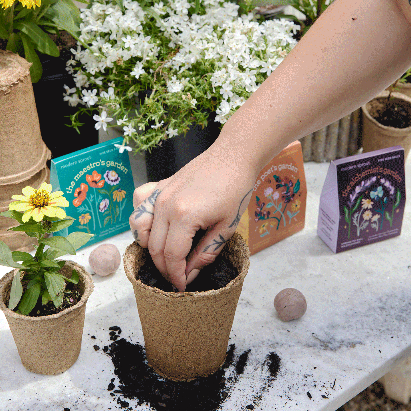 Modern Sprout Bespoke Blooms Seed Balls | Heirloom Boulevard