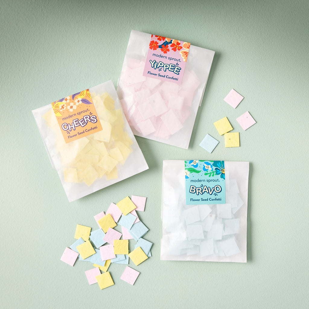 Modern Sprout Seed Paper Confetti Refill Packs
