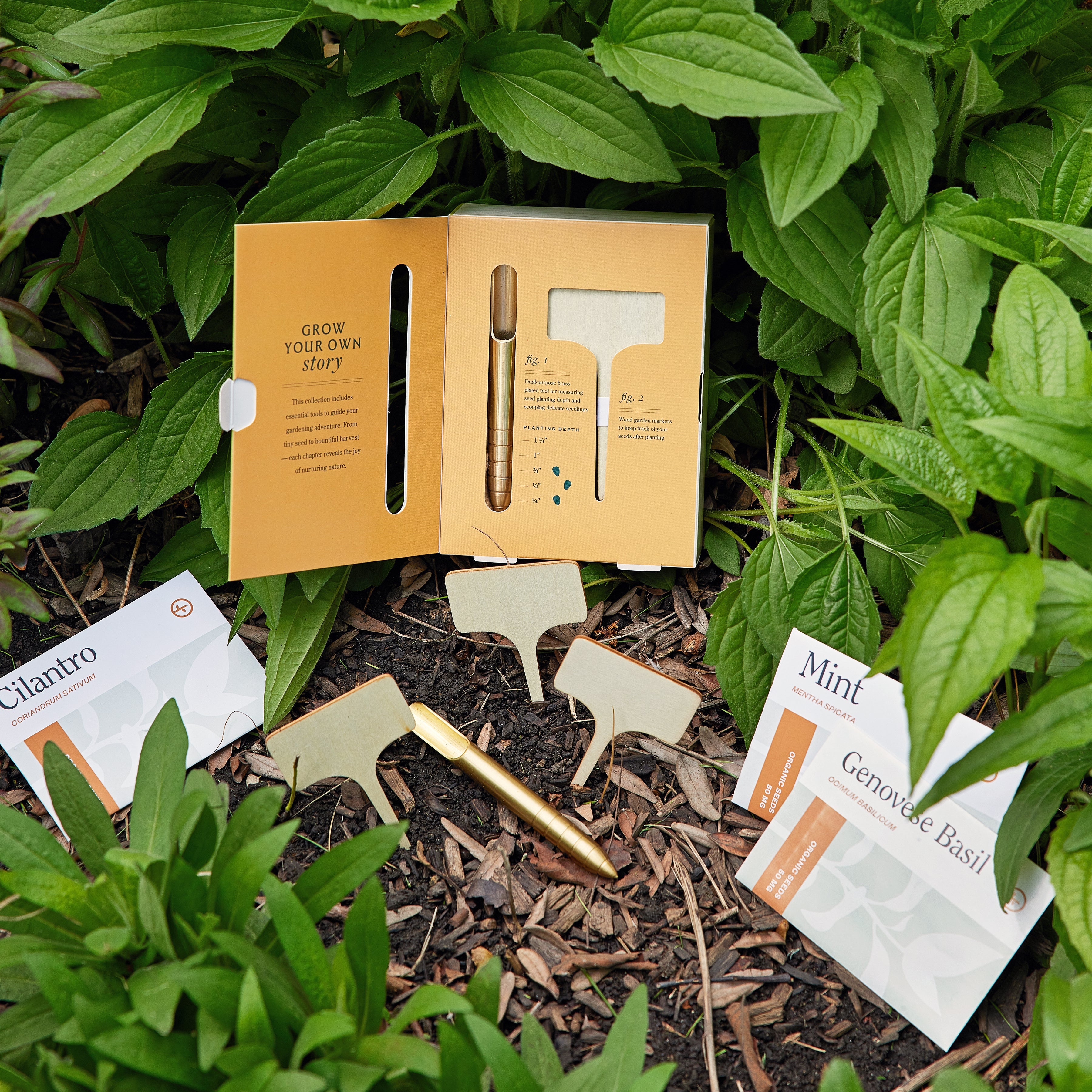 Modern Sprout Seed Library