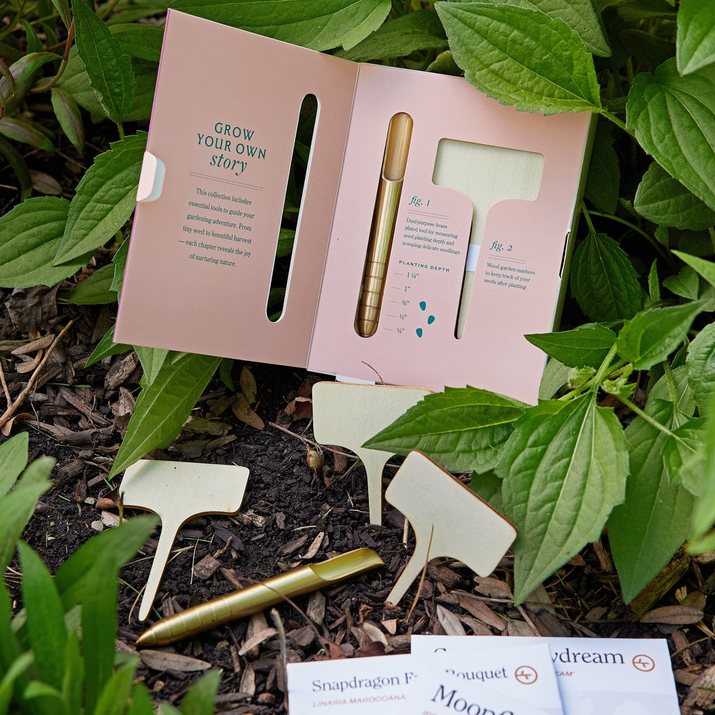 Modern Sprout Seed Library | Heirloom Boulevard