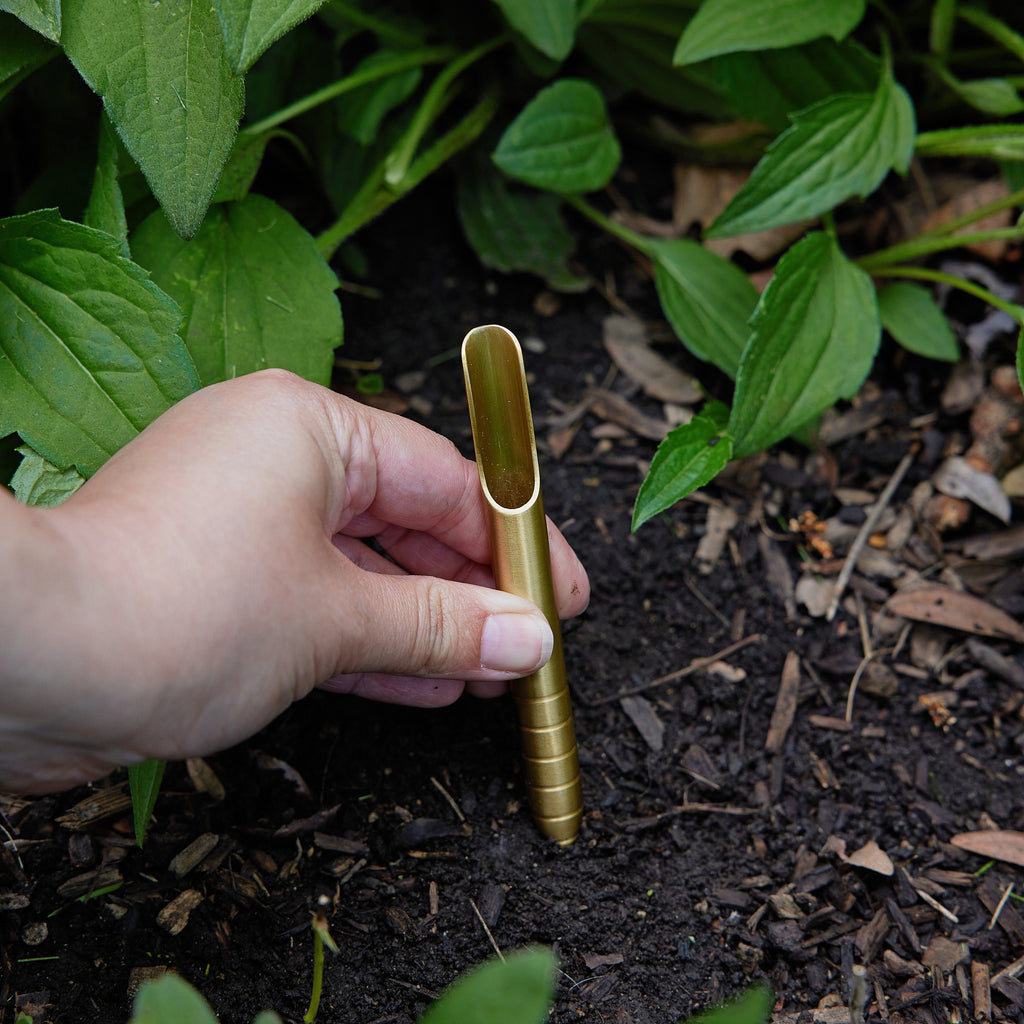 Modern Sprout Seed Library | Heirloom Boulevard