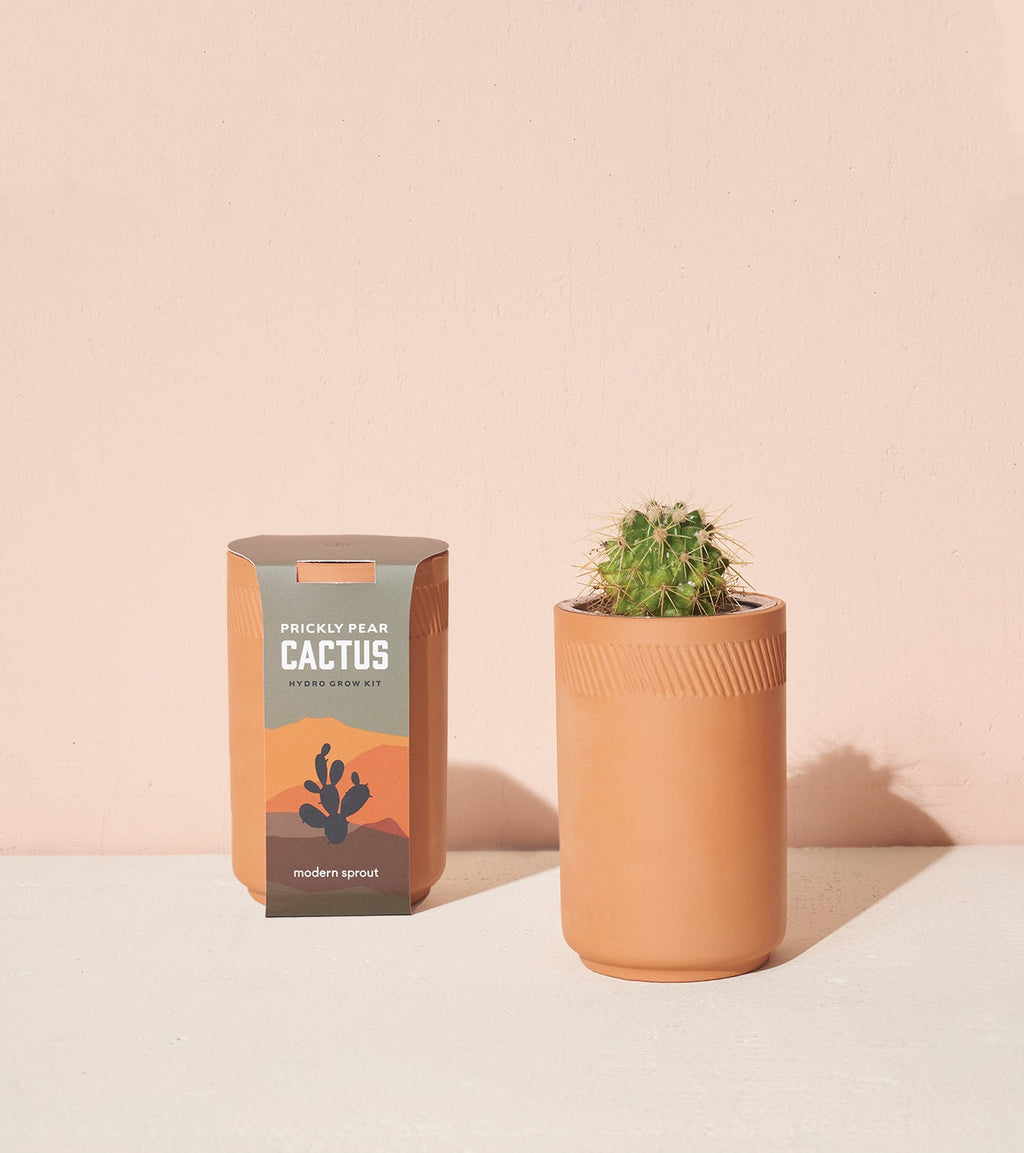 Modern Sprout Terracotta Grow Kits