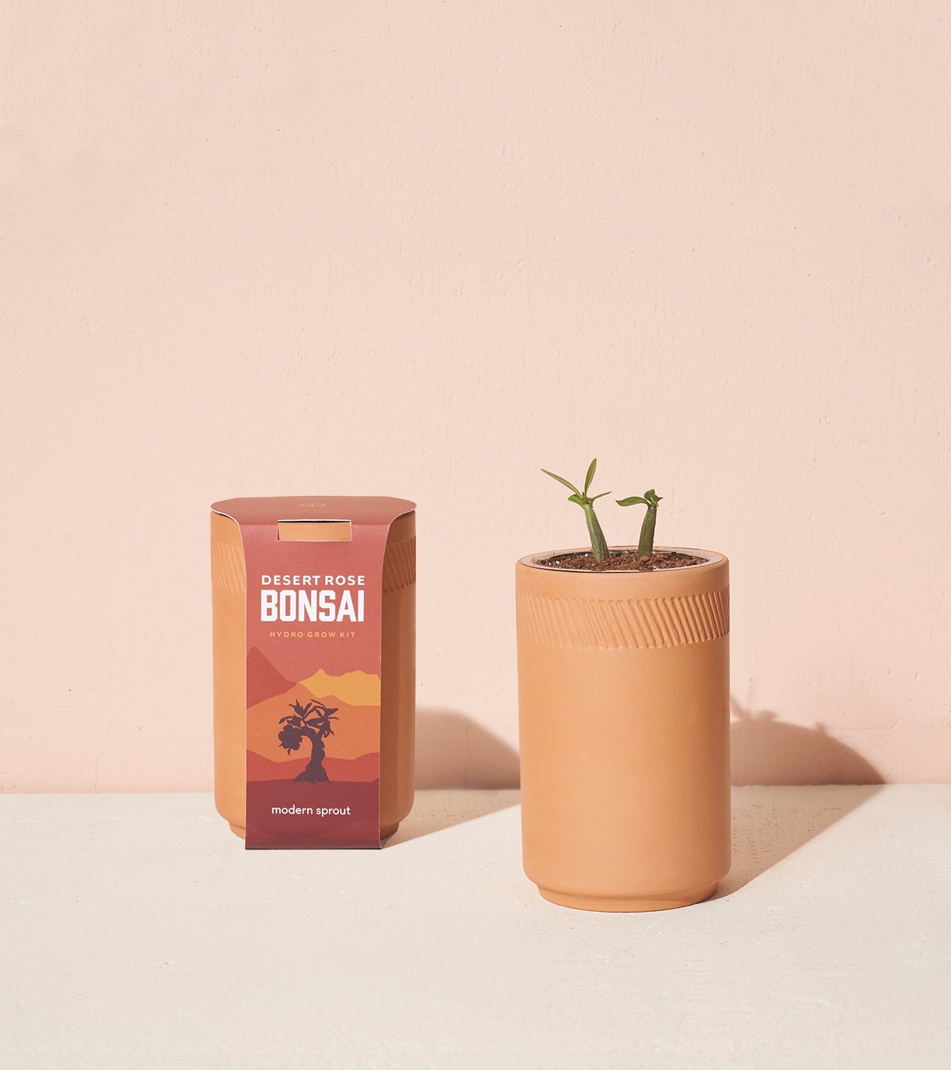Modern Sprout Terracotta Grow Kits