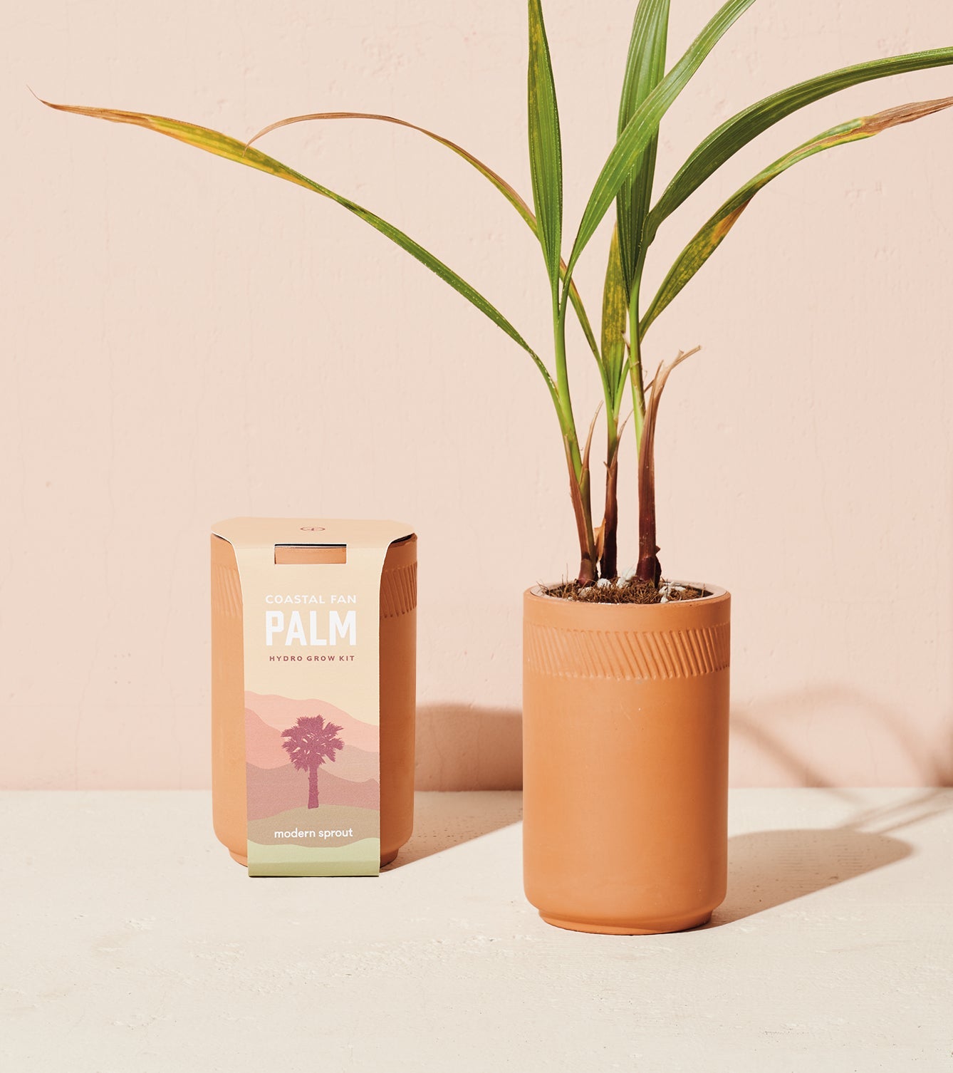 Modern Sprout Terracotta Grow Kits