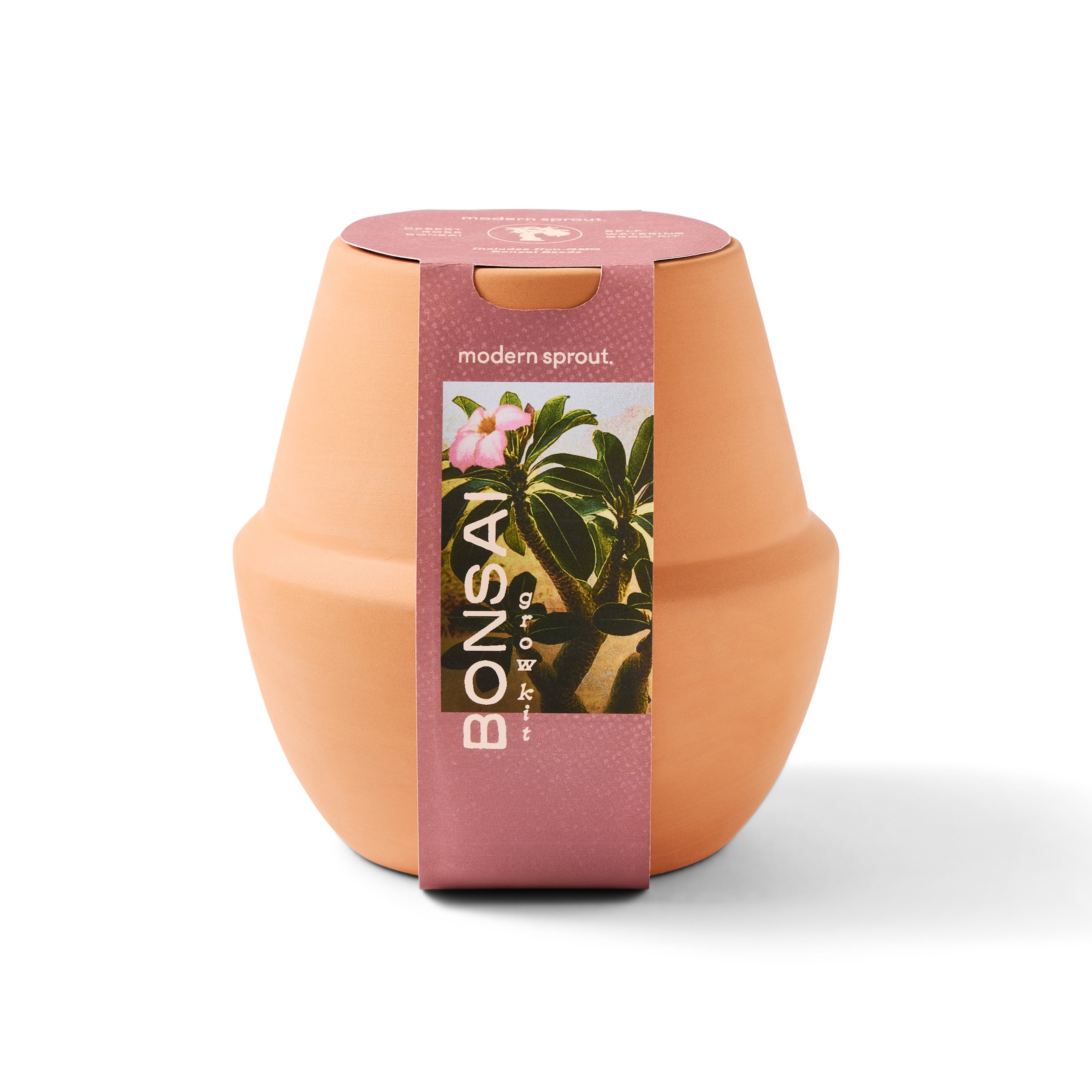 Modern Sprout Modern Terracotta Grow Kits Bonsai 1pk | Heirloom Boulevard