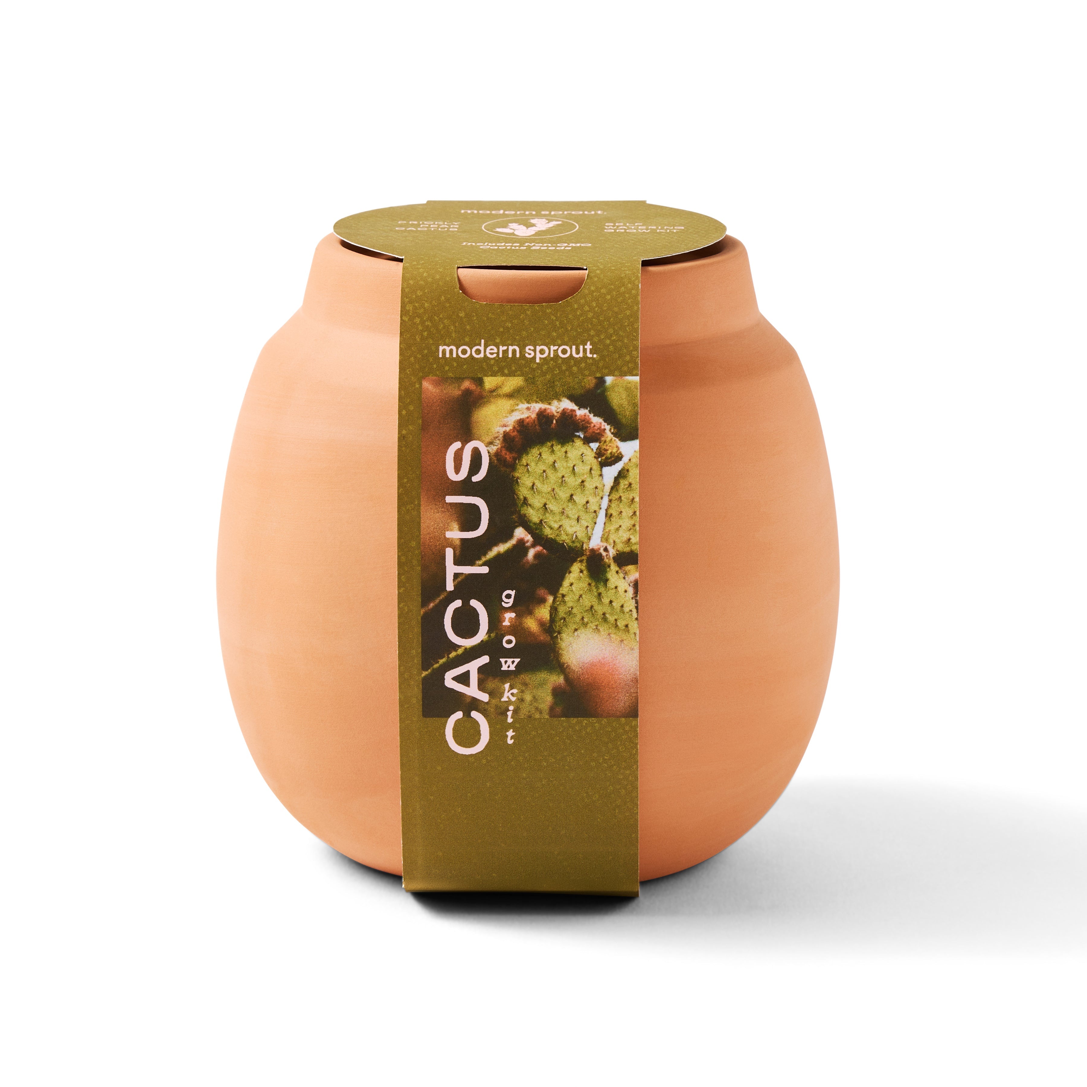 Modern Sprout Modern Terracotta Grow Kits Cactus 1pk | Heirloom Boulevard
