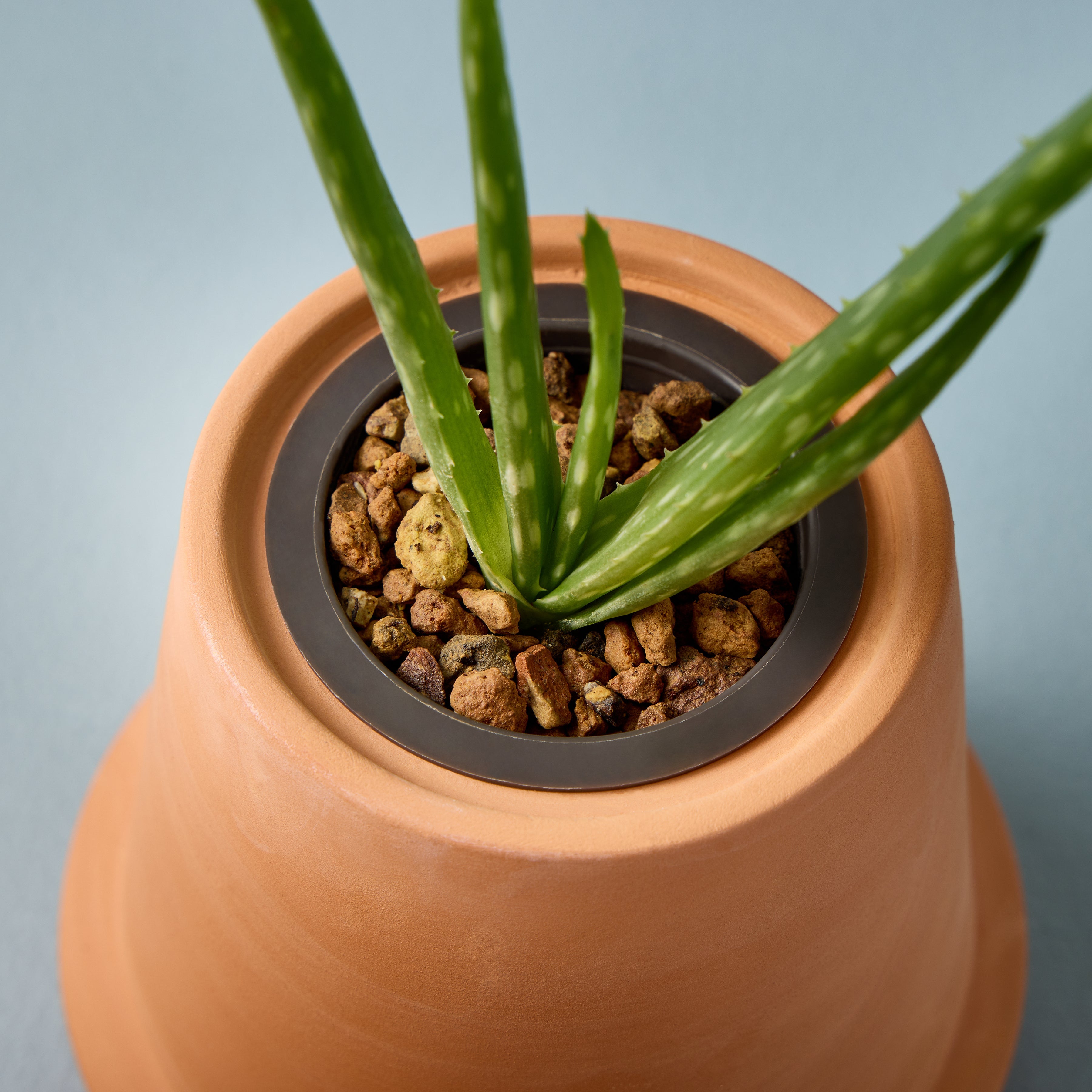 Modern Sprout Modern Terracotta Grow Kits | Heirloom Boulevard