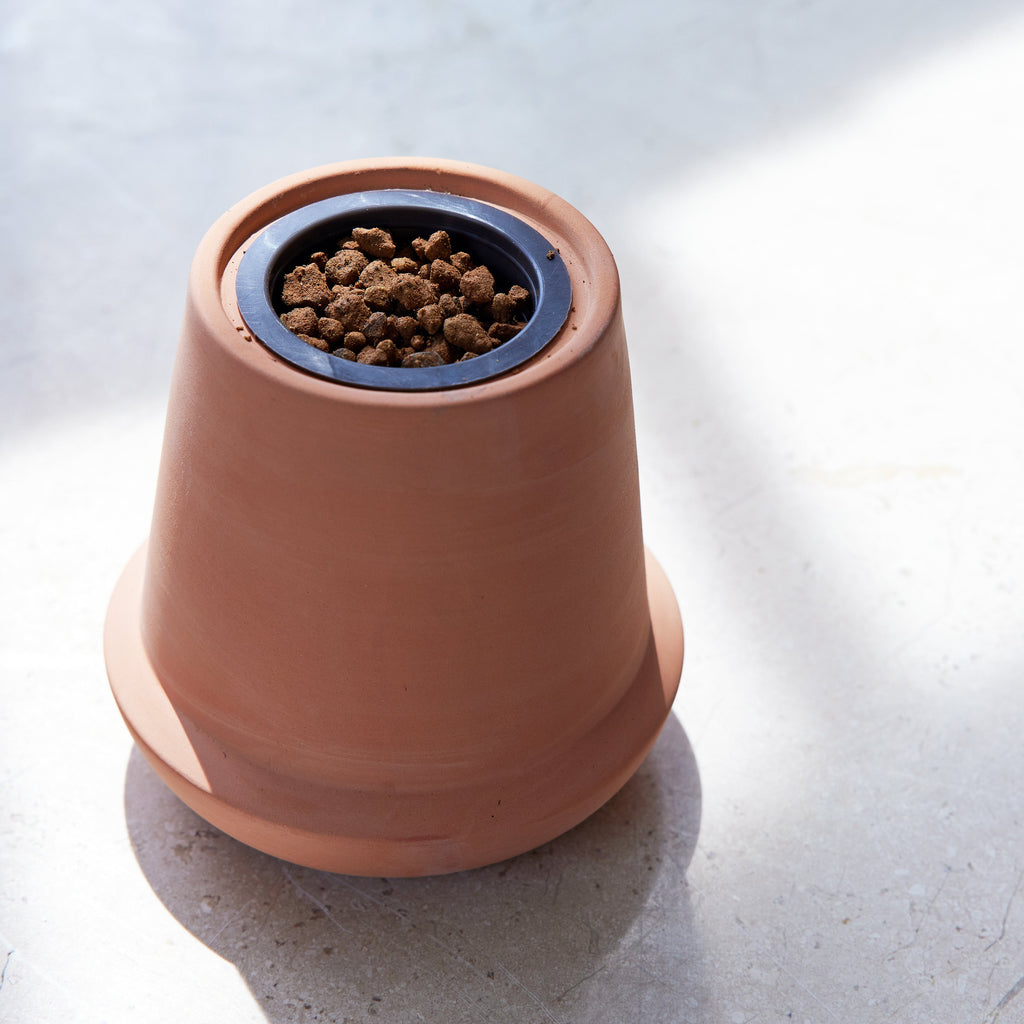 Modern Sprout Modern Terracotta Grow Kits | Heirloom Boulevard