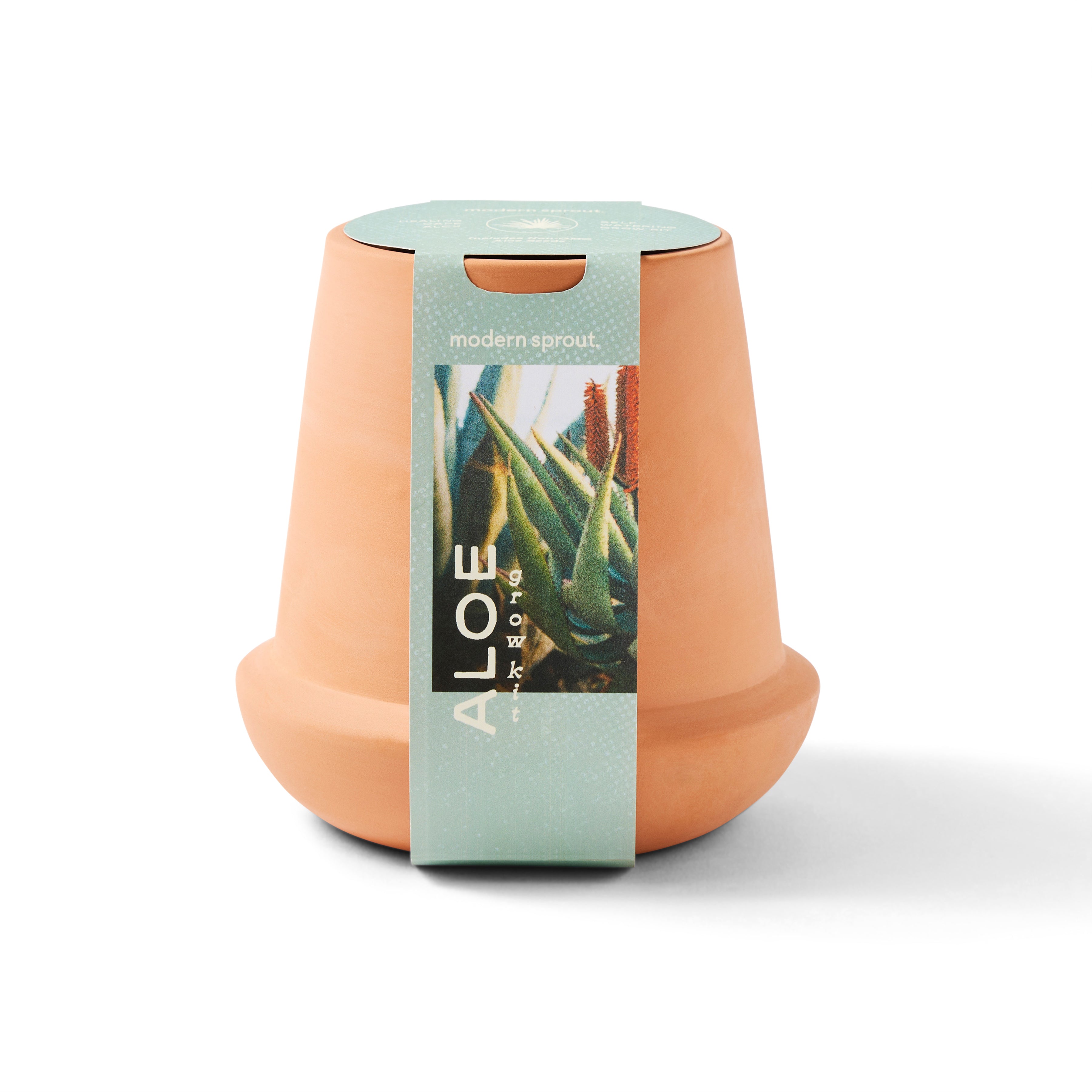 Modern Sprout Modern Terracotta Grow Kits Aloe 1pk | Heirloom Boulevard