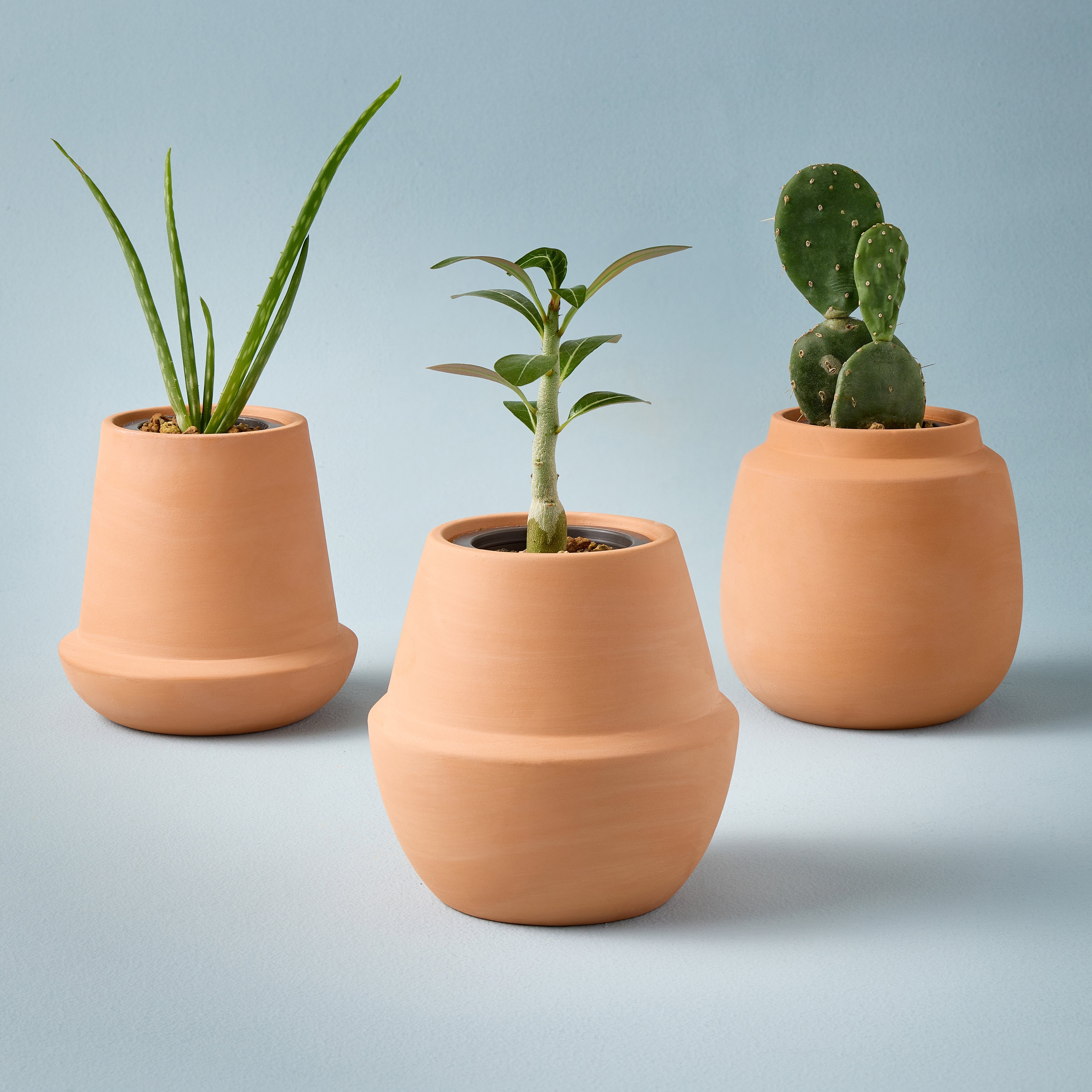 Modern Sprout Modern Terracotta Grow Kits | Heirloom Boulevard