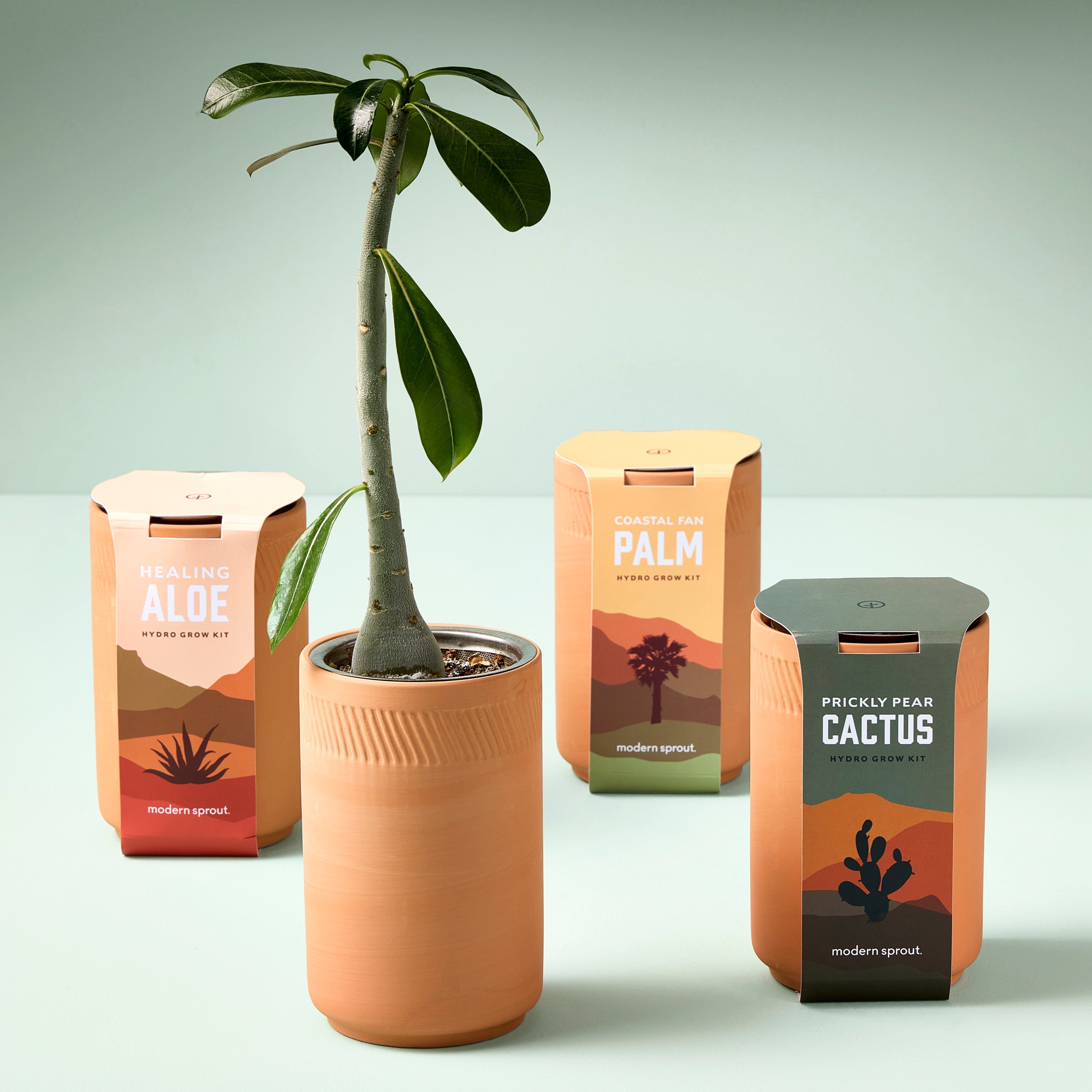 Modern Sprout Terracotta Grow Kits