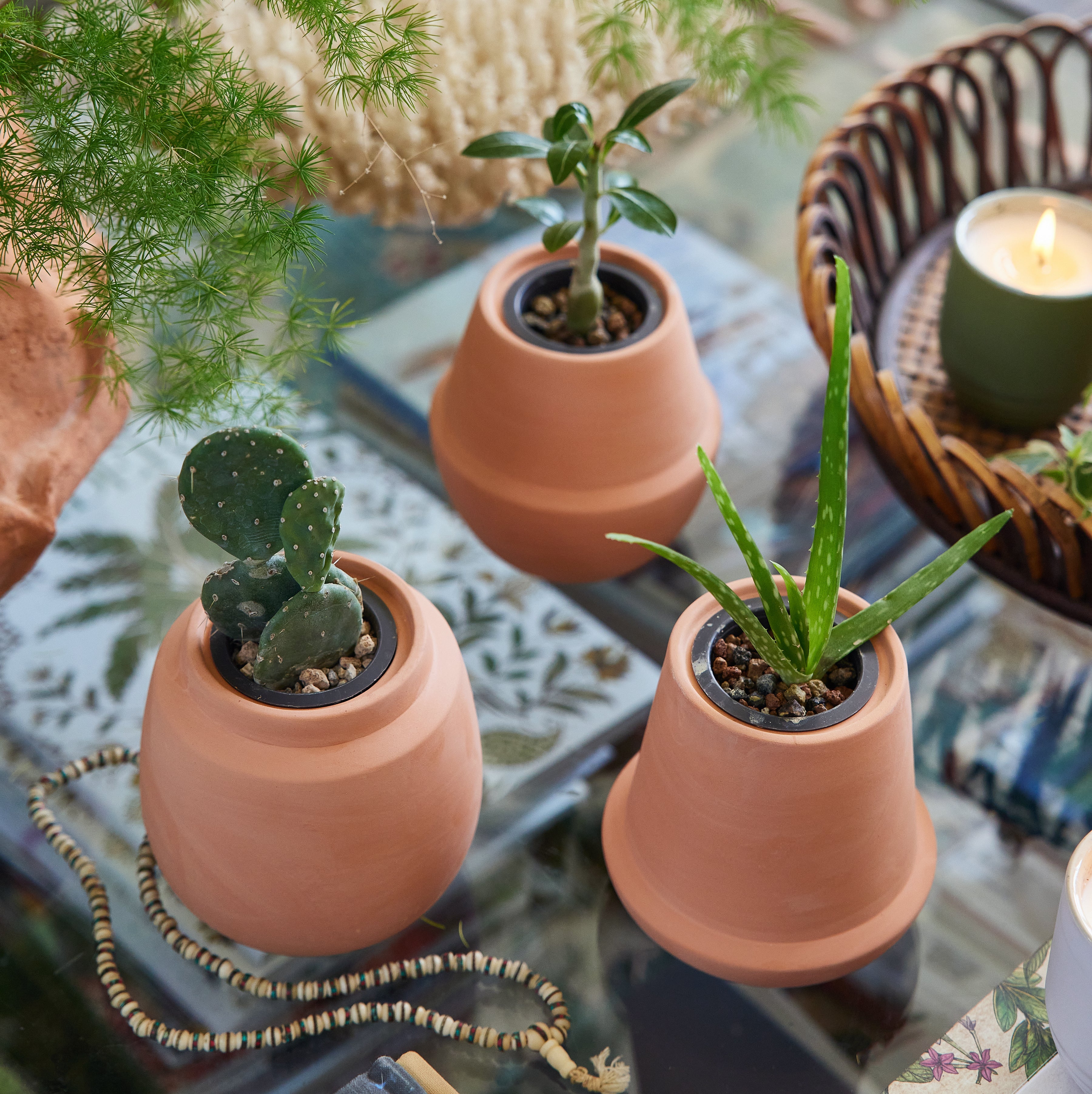 Modern Sprout Modern Terracotta Grow Kits | Heirloom Boulevard